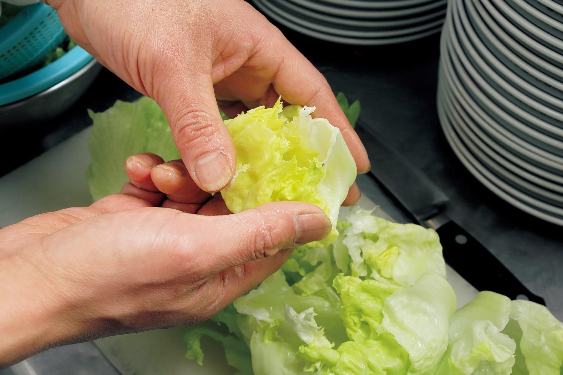 ちぎり方と盛りつけ