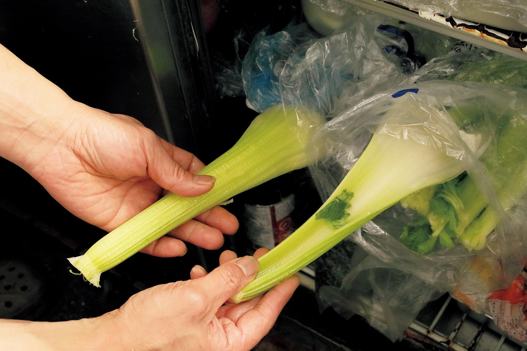 一番人気の贅沢 セロリーサラダ 煉瓦亭 の野菜サラダ 公式 Dancyu ダンチュウ