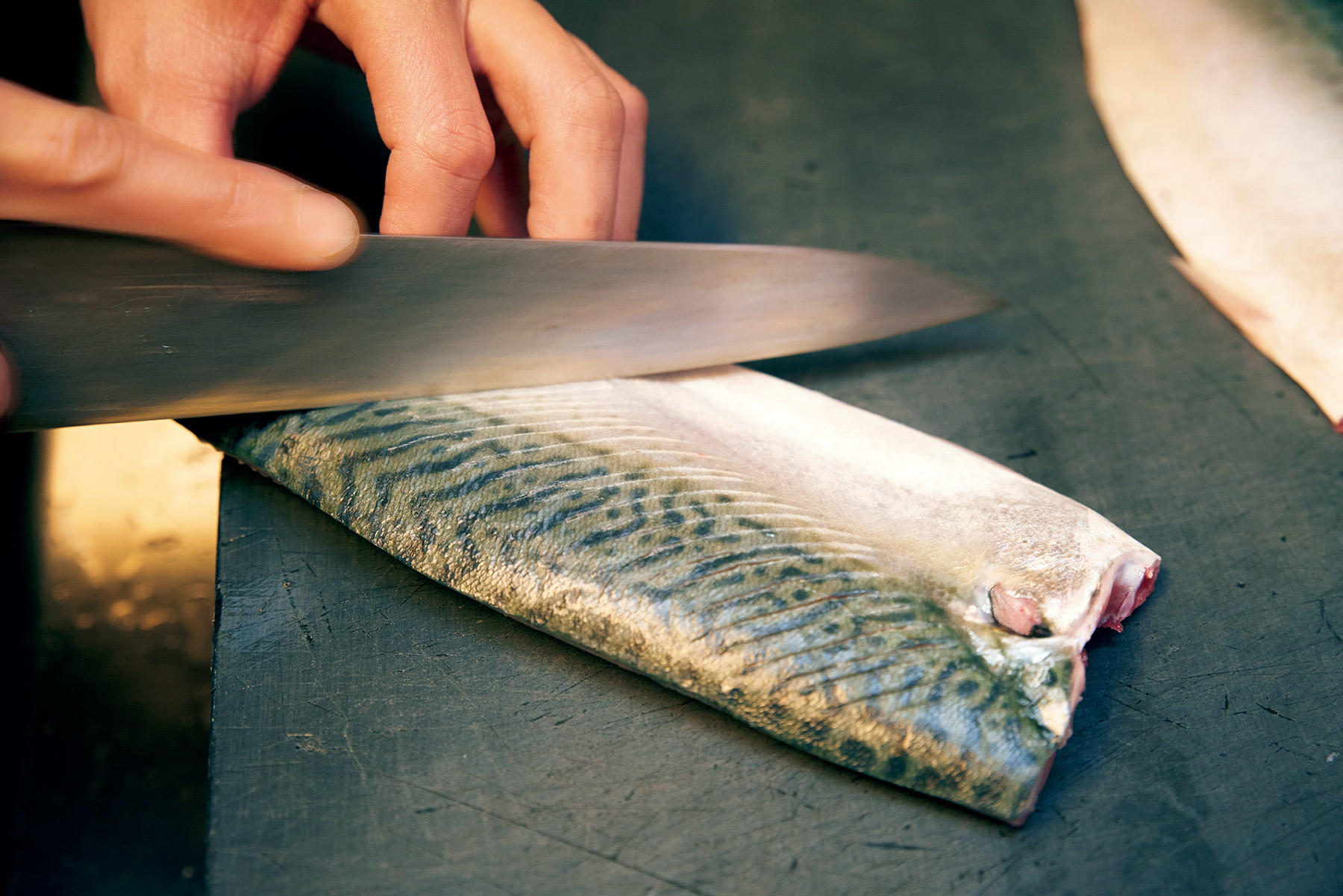 サバの味噌煮 日本一の魚屋 根津松本 に教わる絶品煮魚 公式 Dancyu ダンチュウ