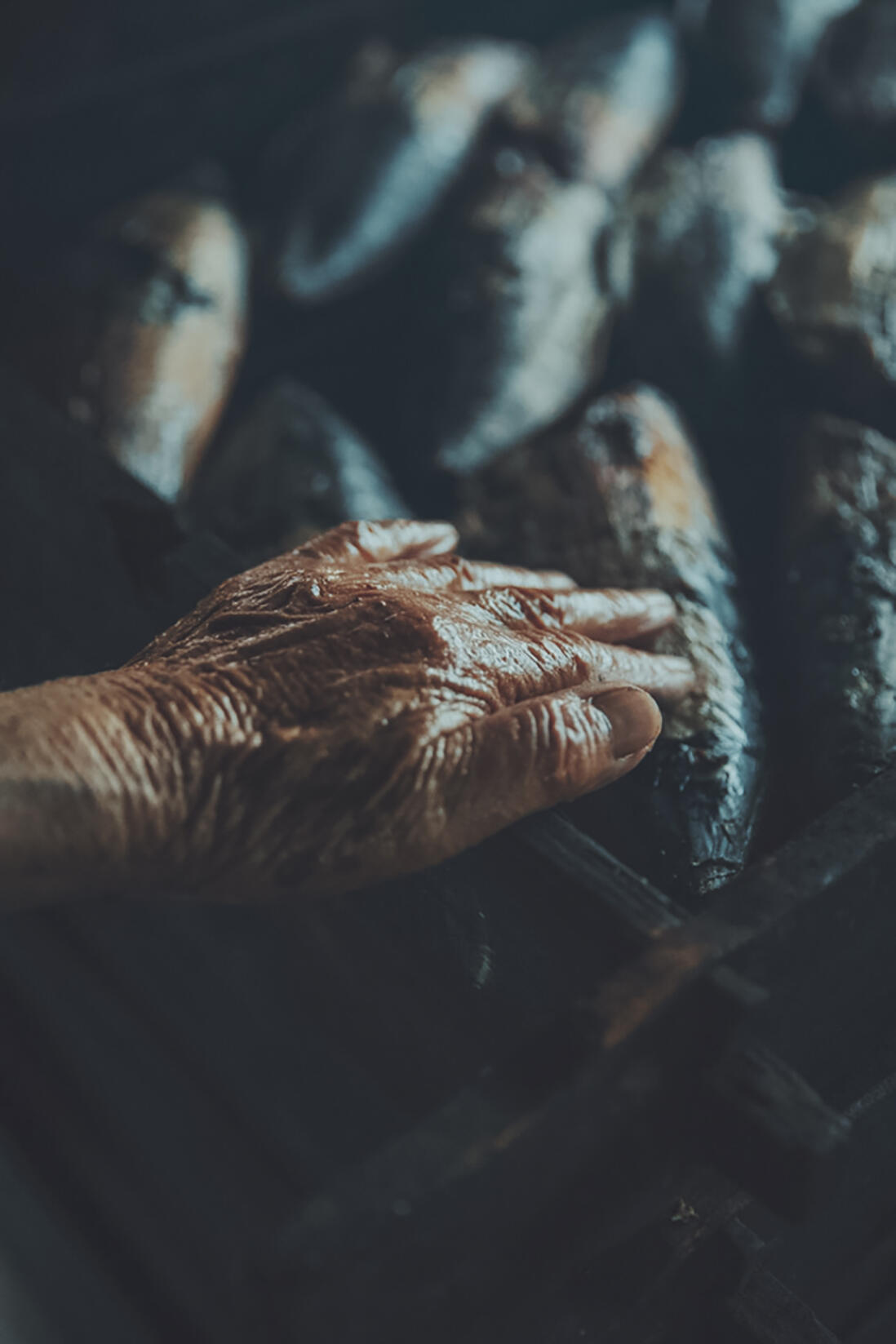 静岡・御前崎市の本枯節の卵かけご飯