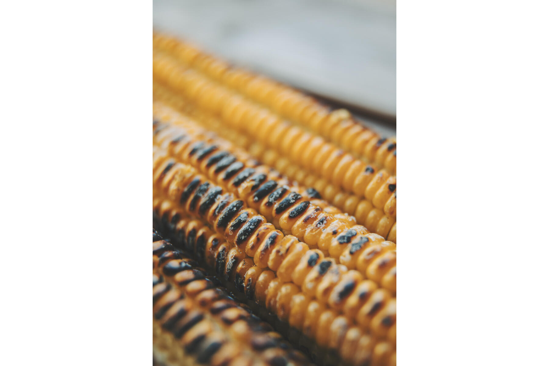 北海道・三笠町の及川さんの八列とうきび