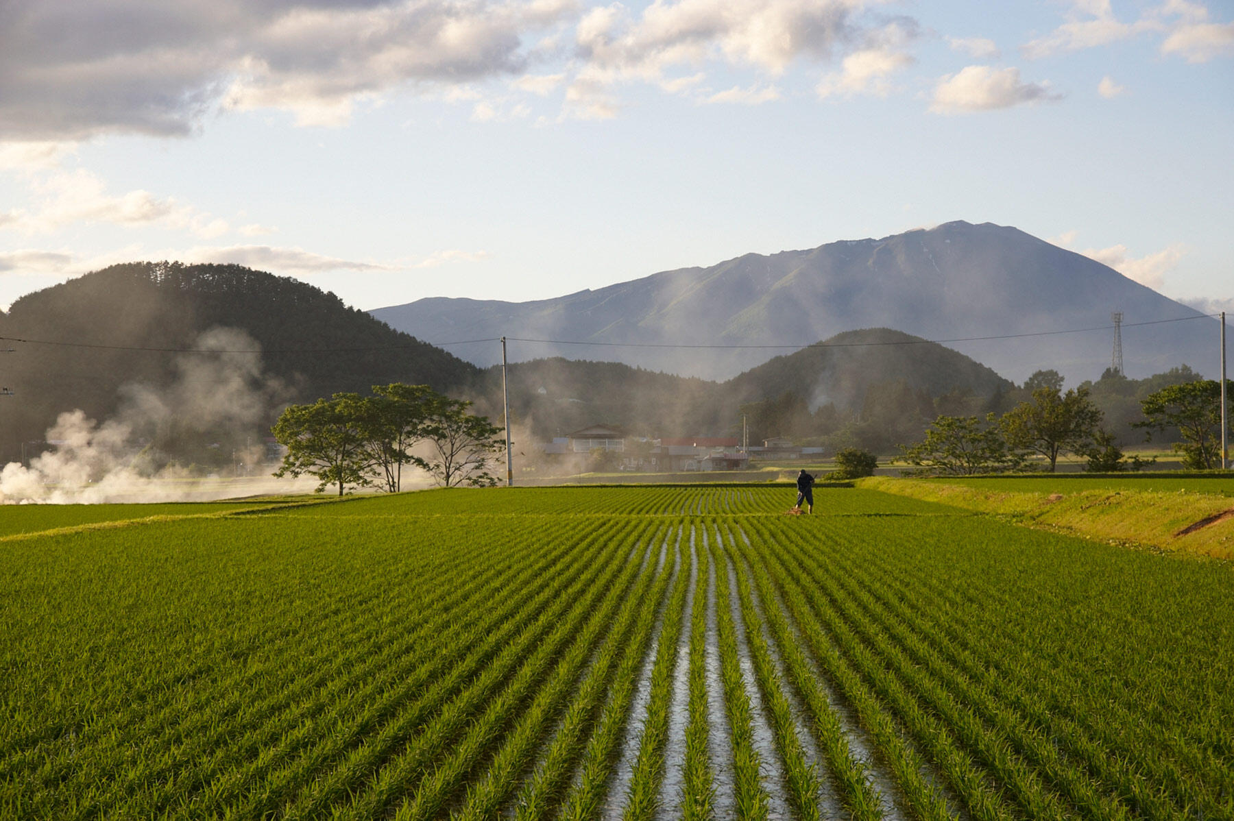 岩手・雫石 春松さんの米