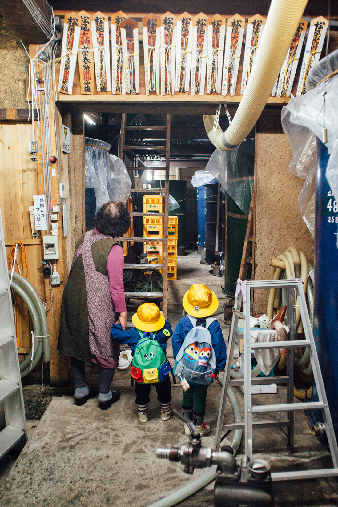 京都・伊根町「向井酒造」の鯖へしこ