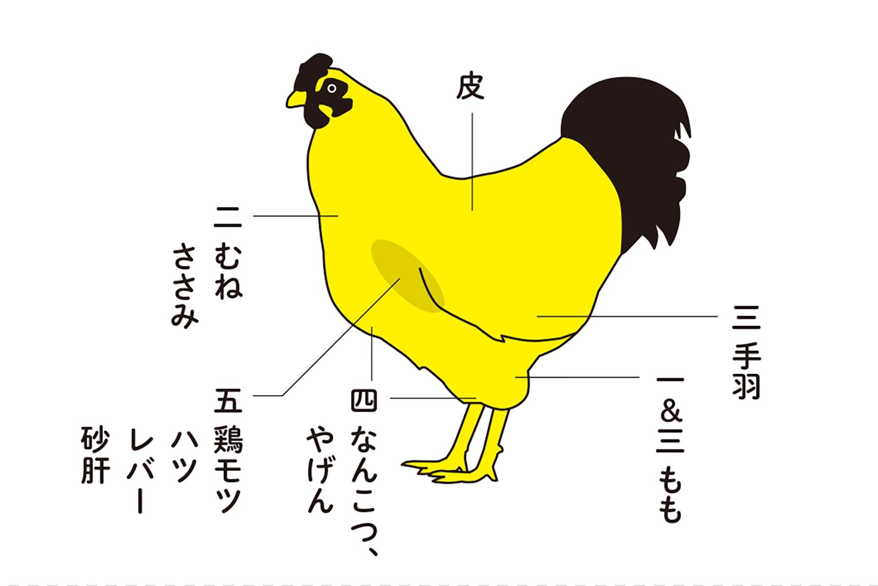 ビール衣で軽やかに揚げる 鶏もつから揚げ 一羽まるごと揚げちゃう鶏からレシピ 公式 Dancyu ダンチュウ