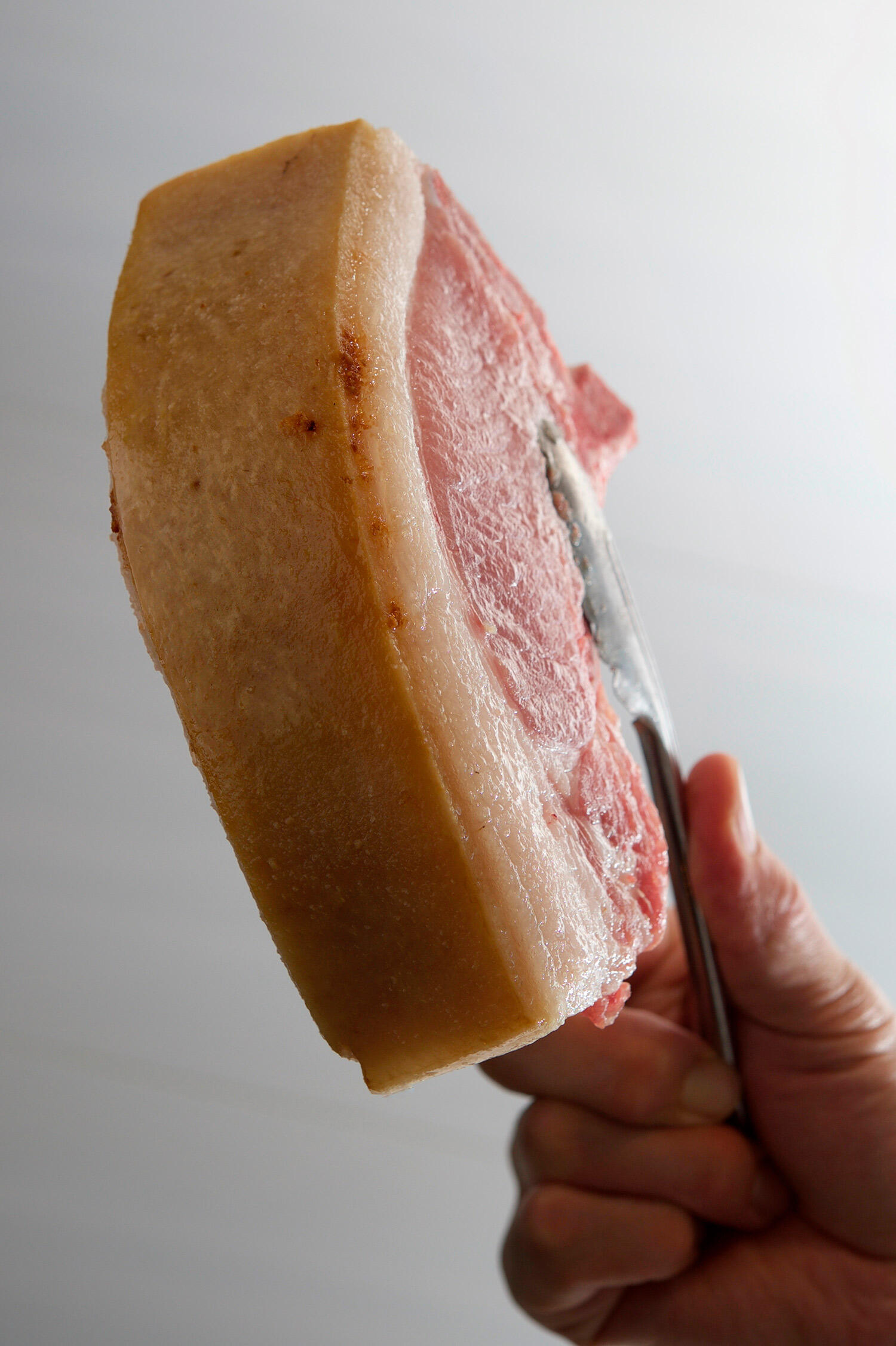 大阪・北浜「エッサンシエル」の愛農ナチュラルポーク