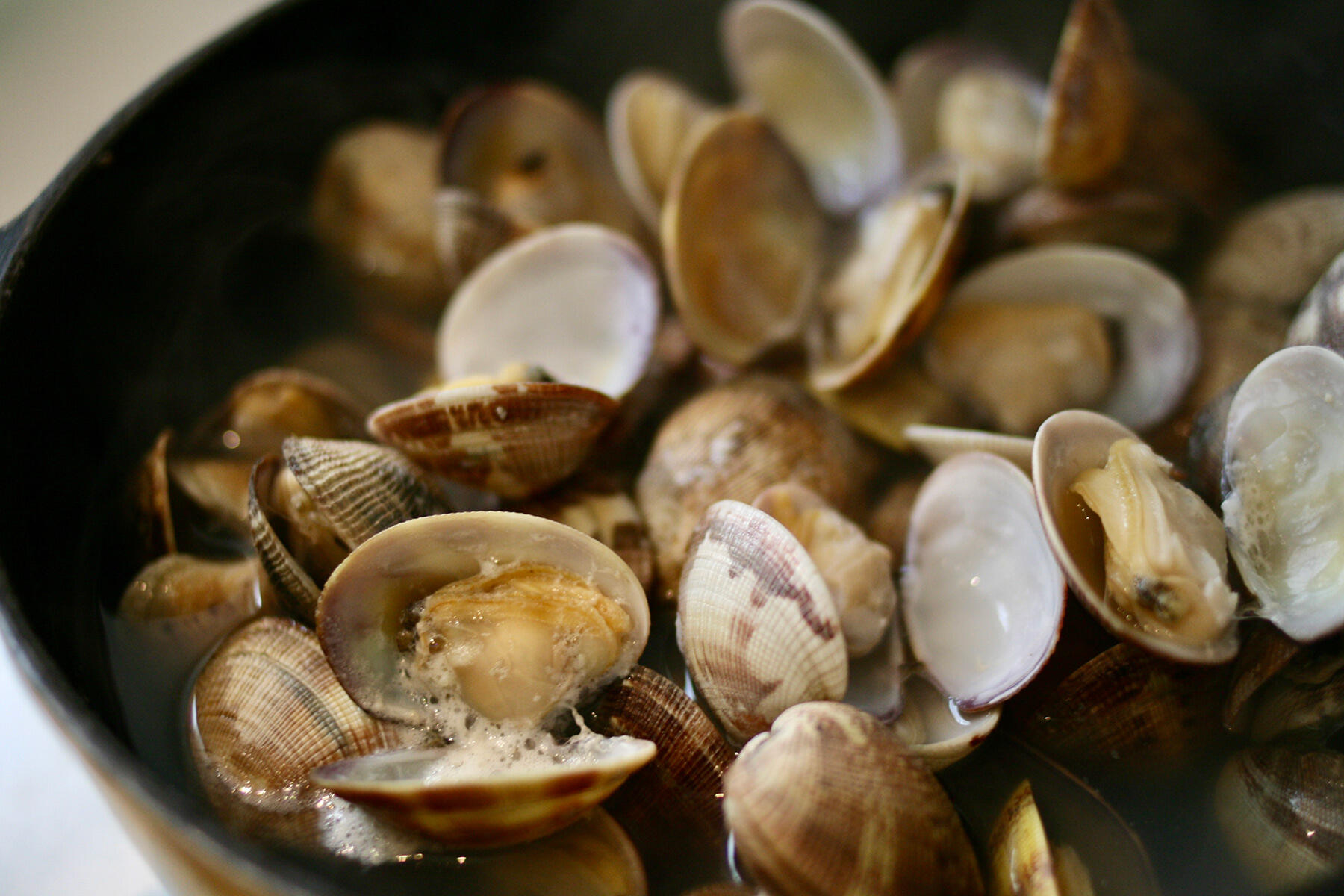 あさりに火を入れる
