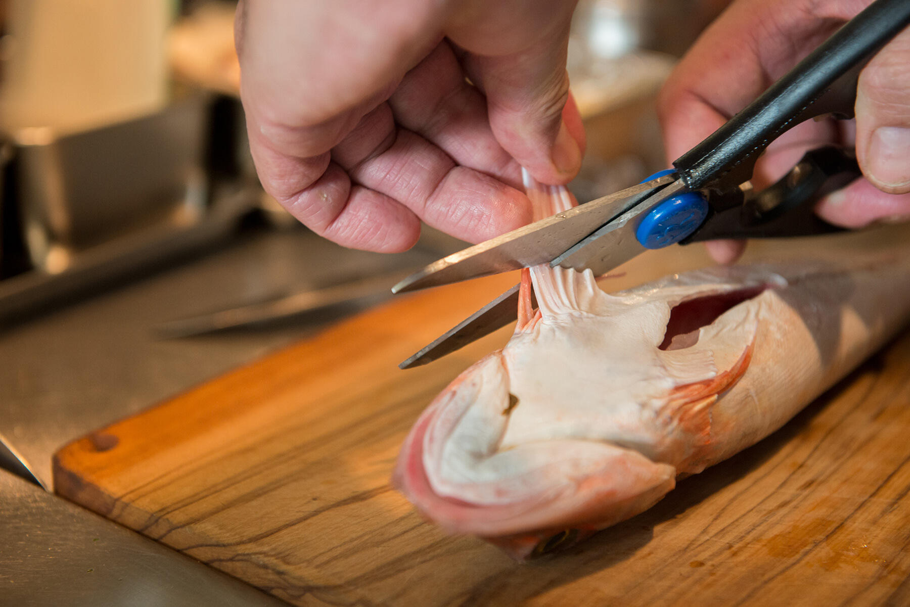 ホウボウの下ごしらえ