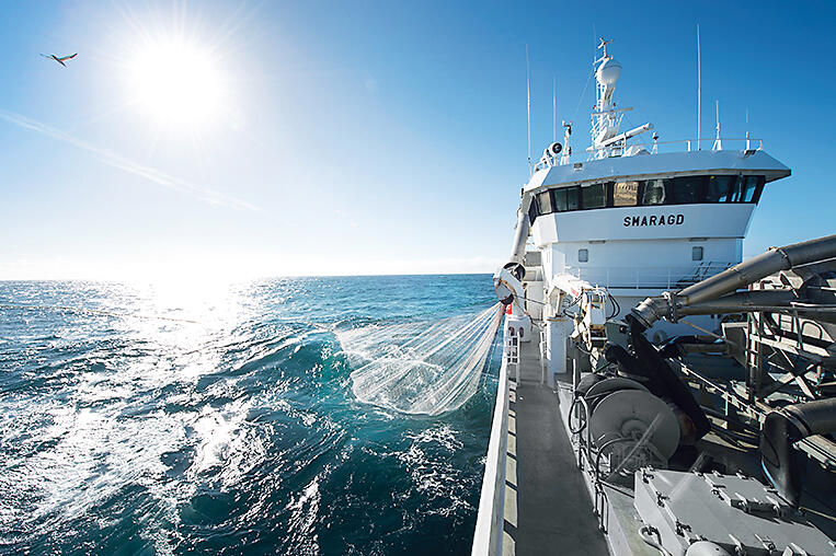 ノルウェーサバ