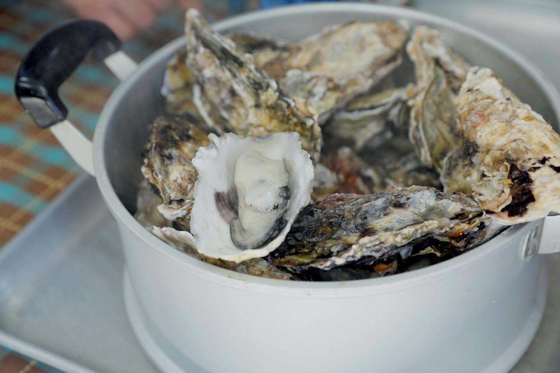 鍋いっぱいの牡蠣