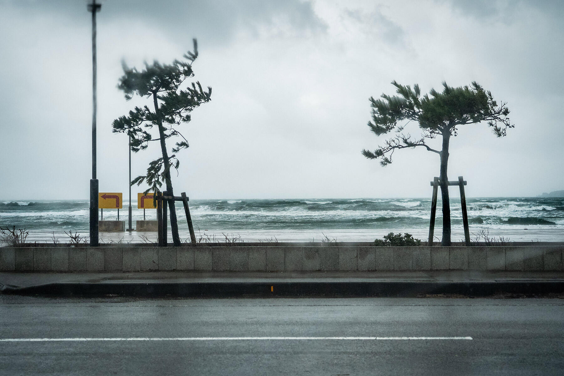 海