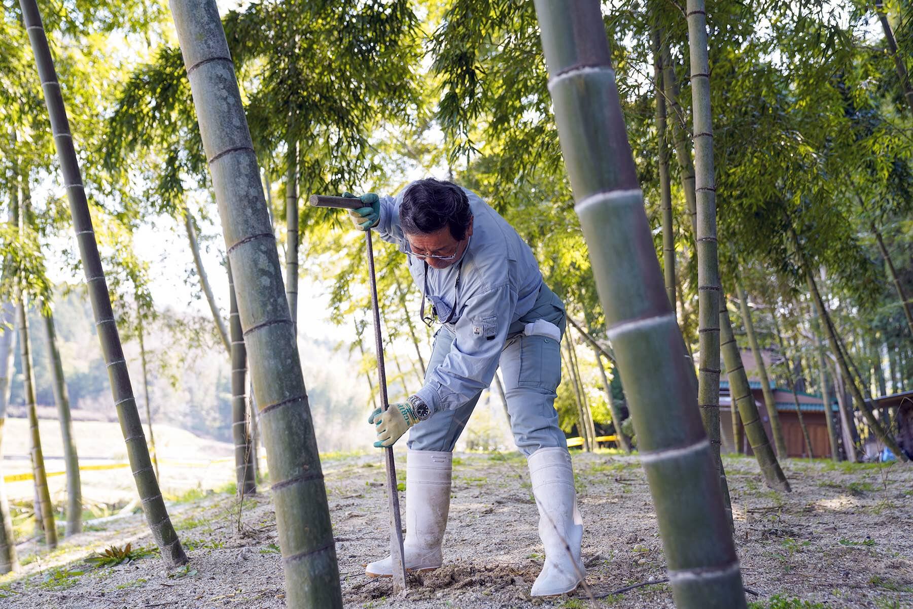 Re32様専用 白子筍2キロ 箱込み たけのこ 京都産 山城-