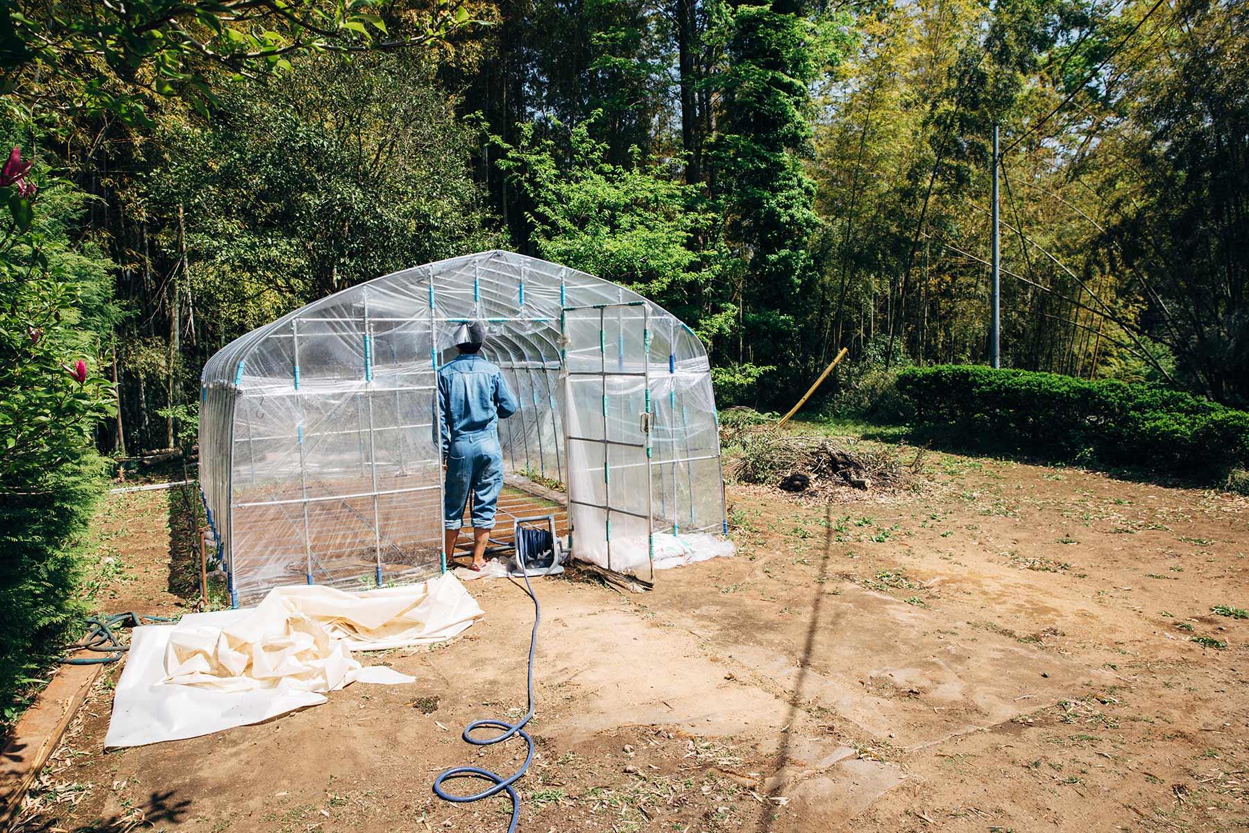 ビニールハウス