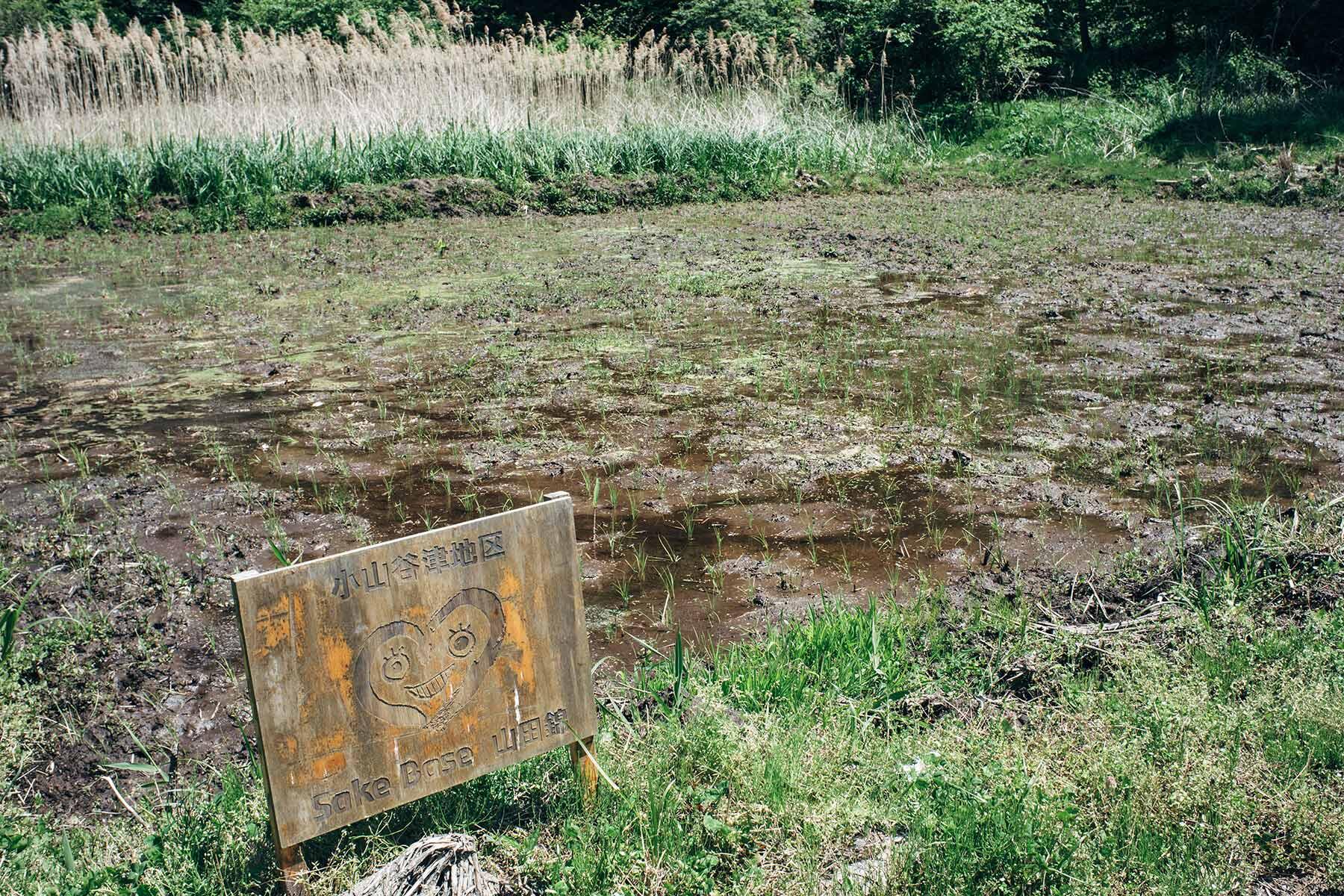 シンボルマーク