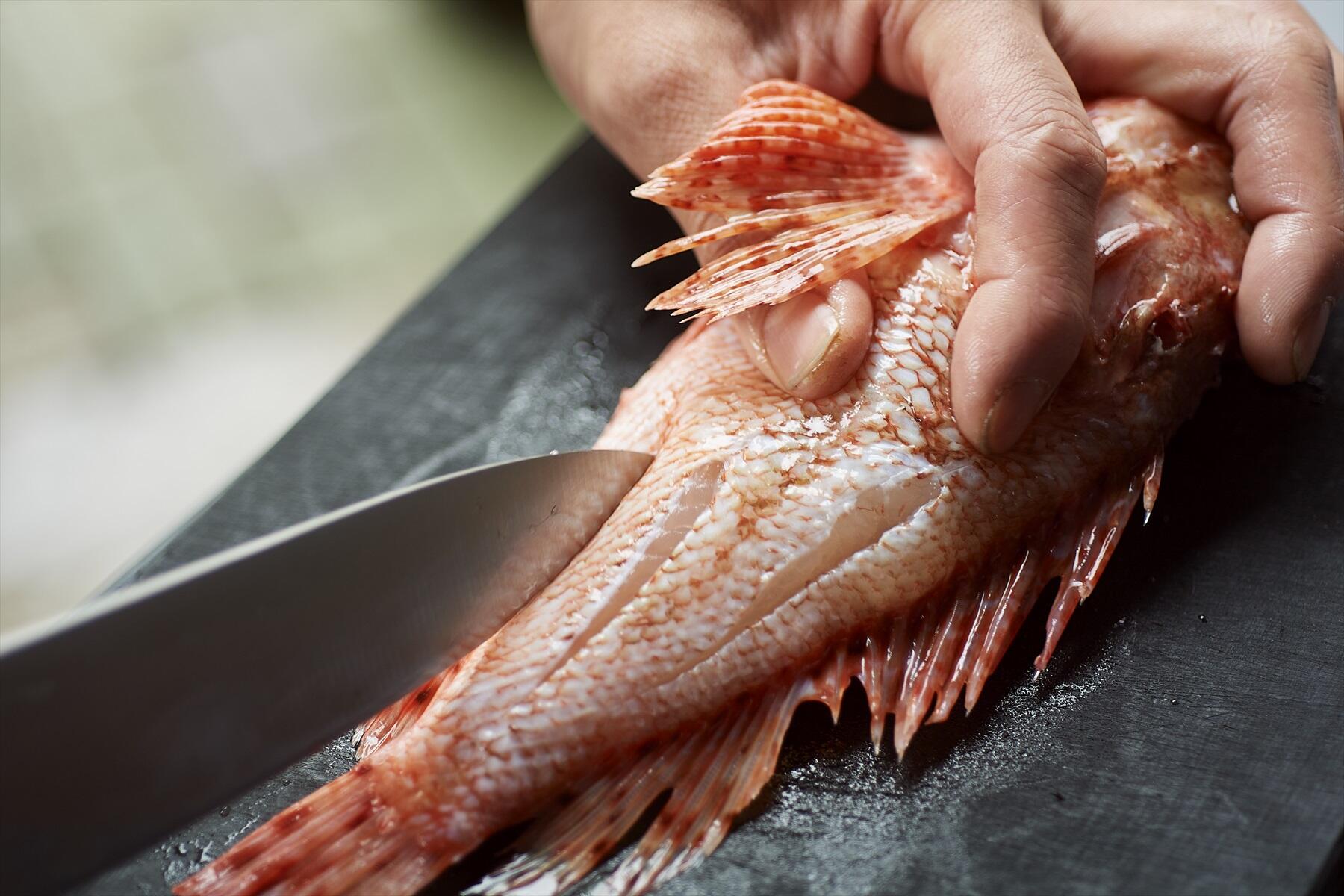 カサゴの下ごしらえ