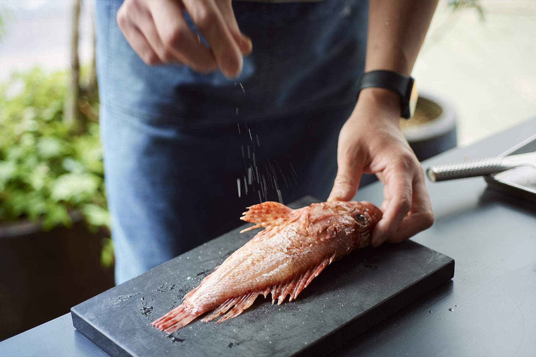 カサゴの下ごしらえ