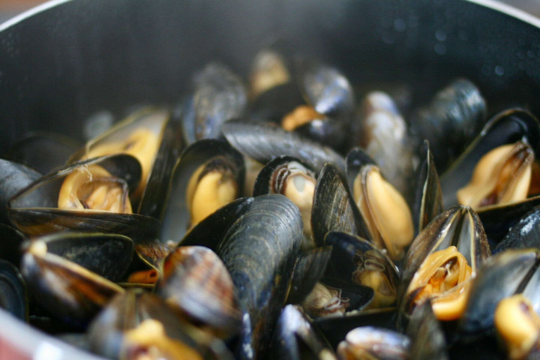 ムール貝を蒸す