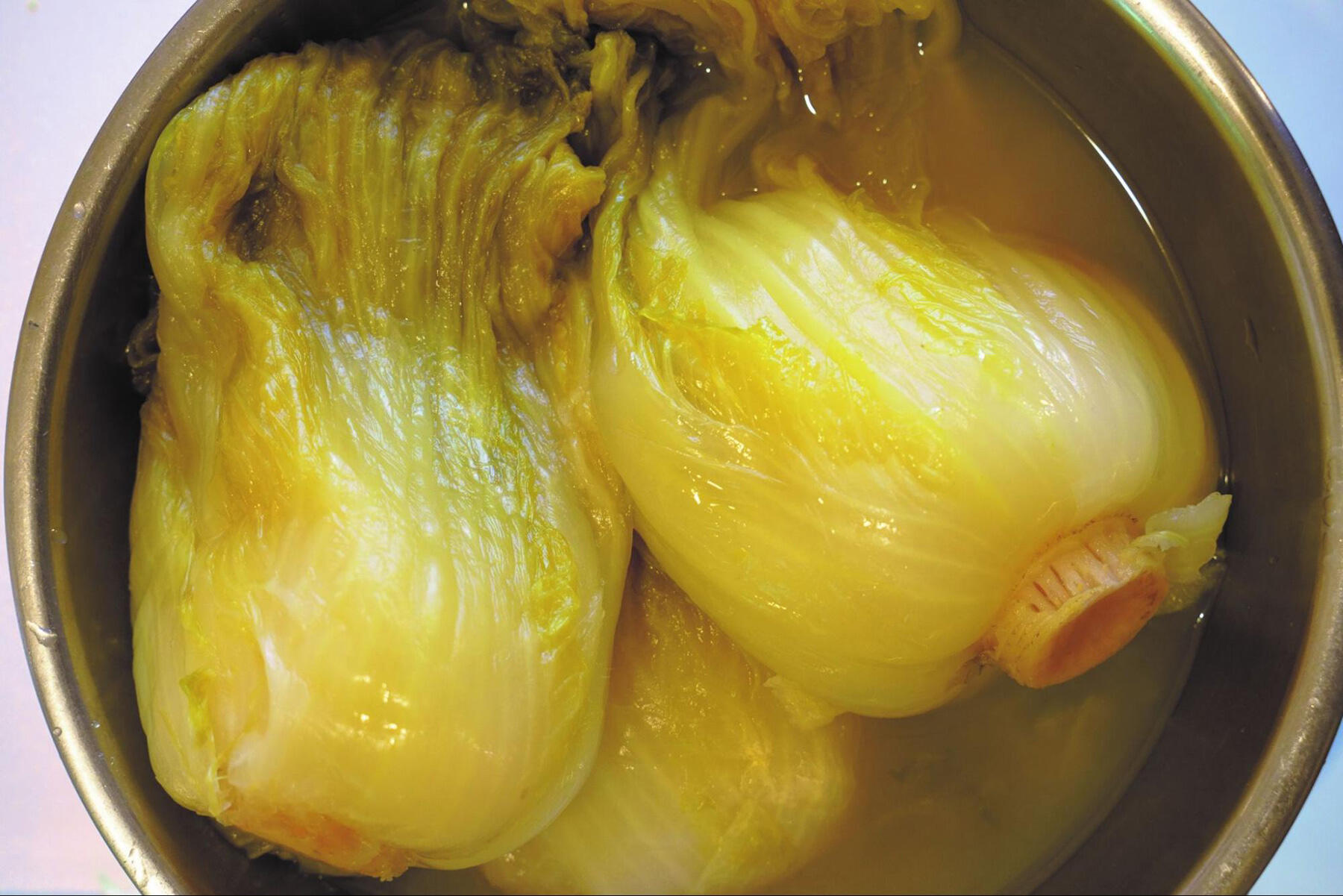 白菜を塩漬けしてつくる発酵白菜