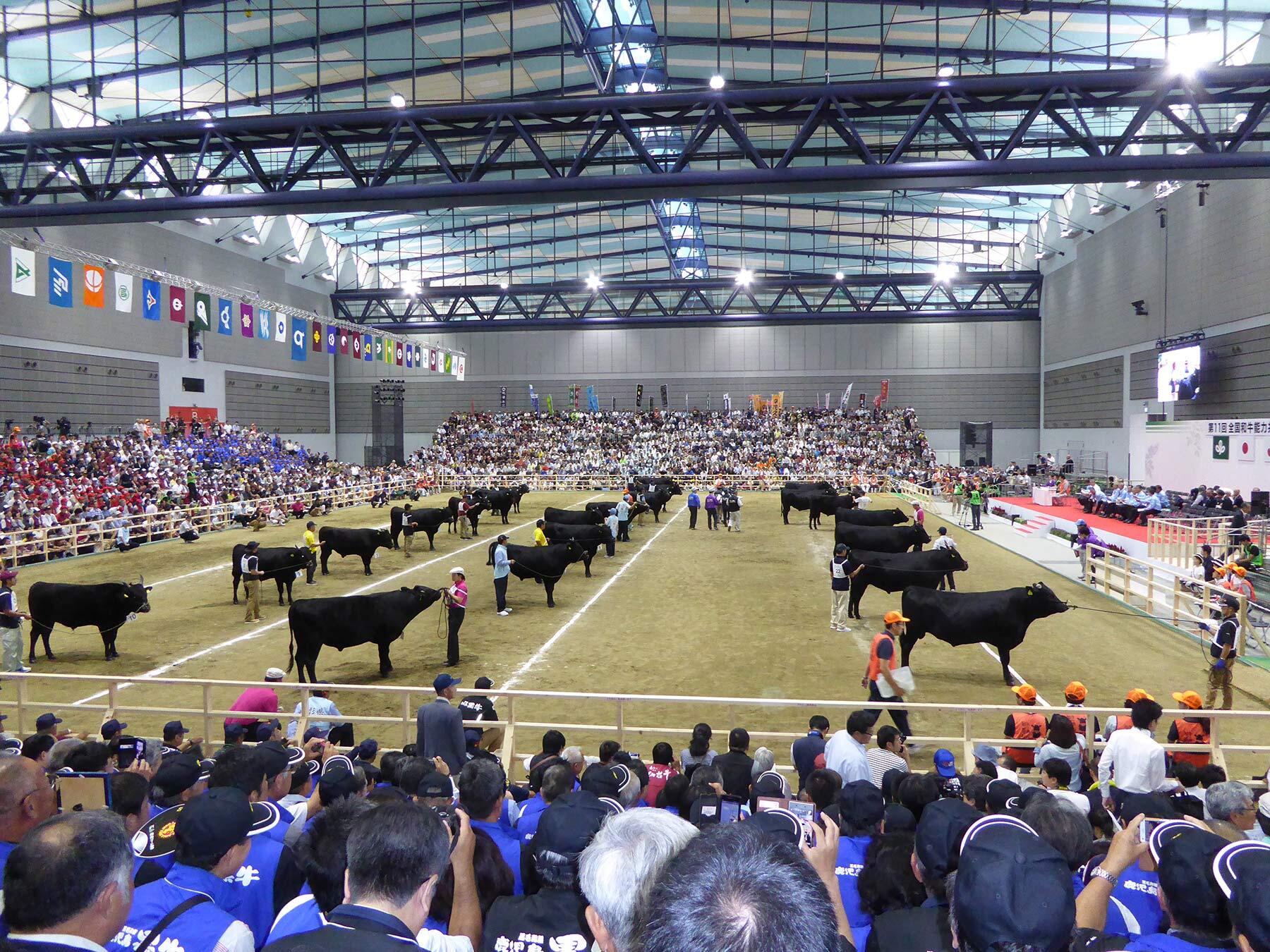 全国和牛能力共進会