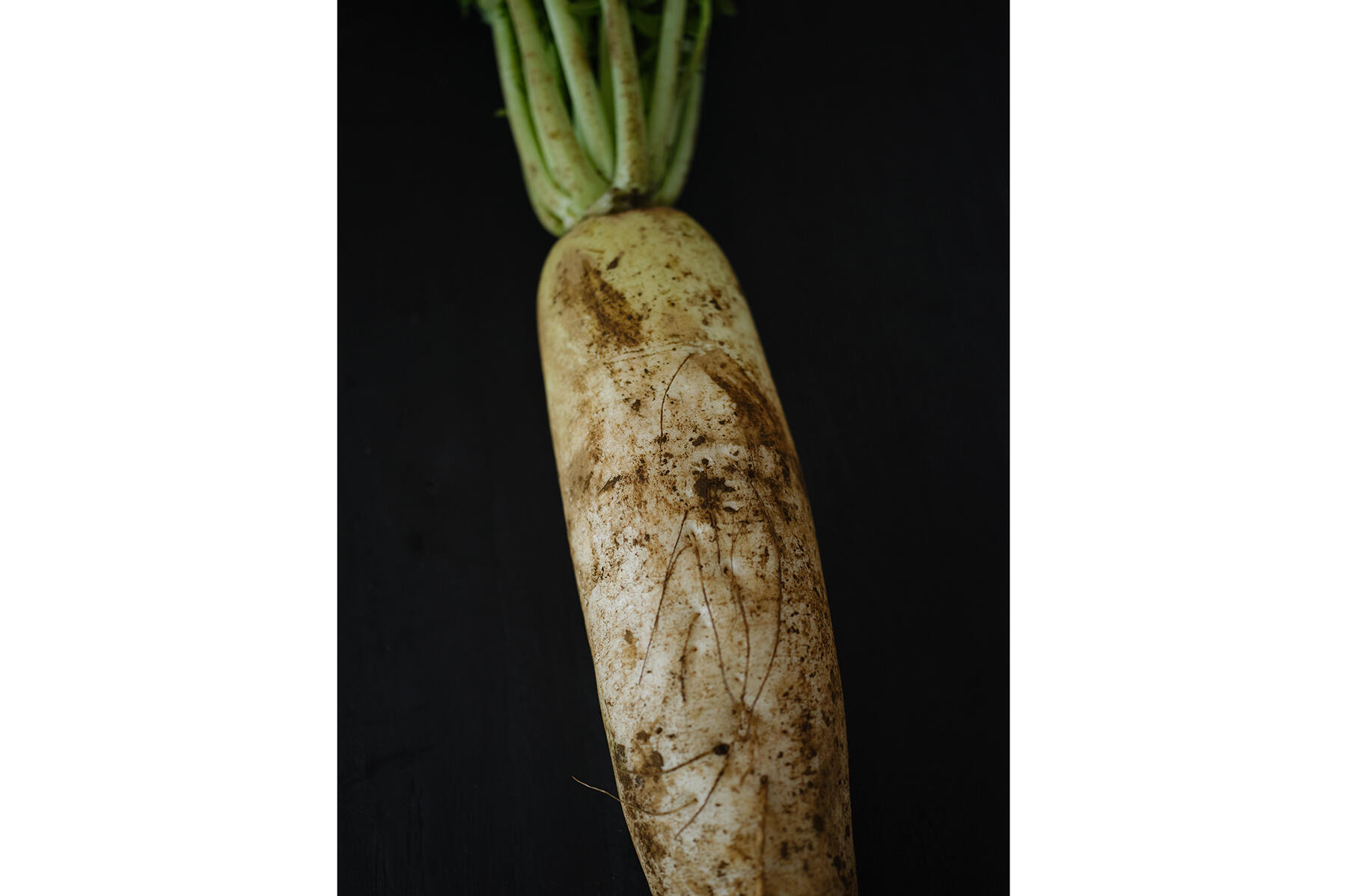 いたわり食材「大根」