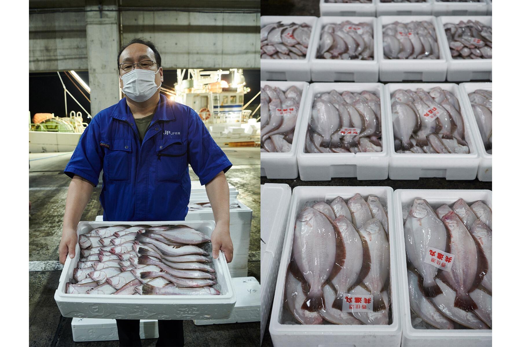 沖合底引き網漁は、魚種も水揚げ量も凄かった。｜但馬の魚①