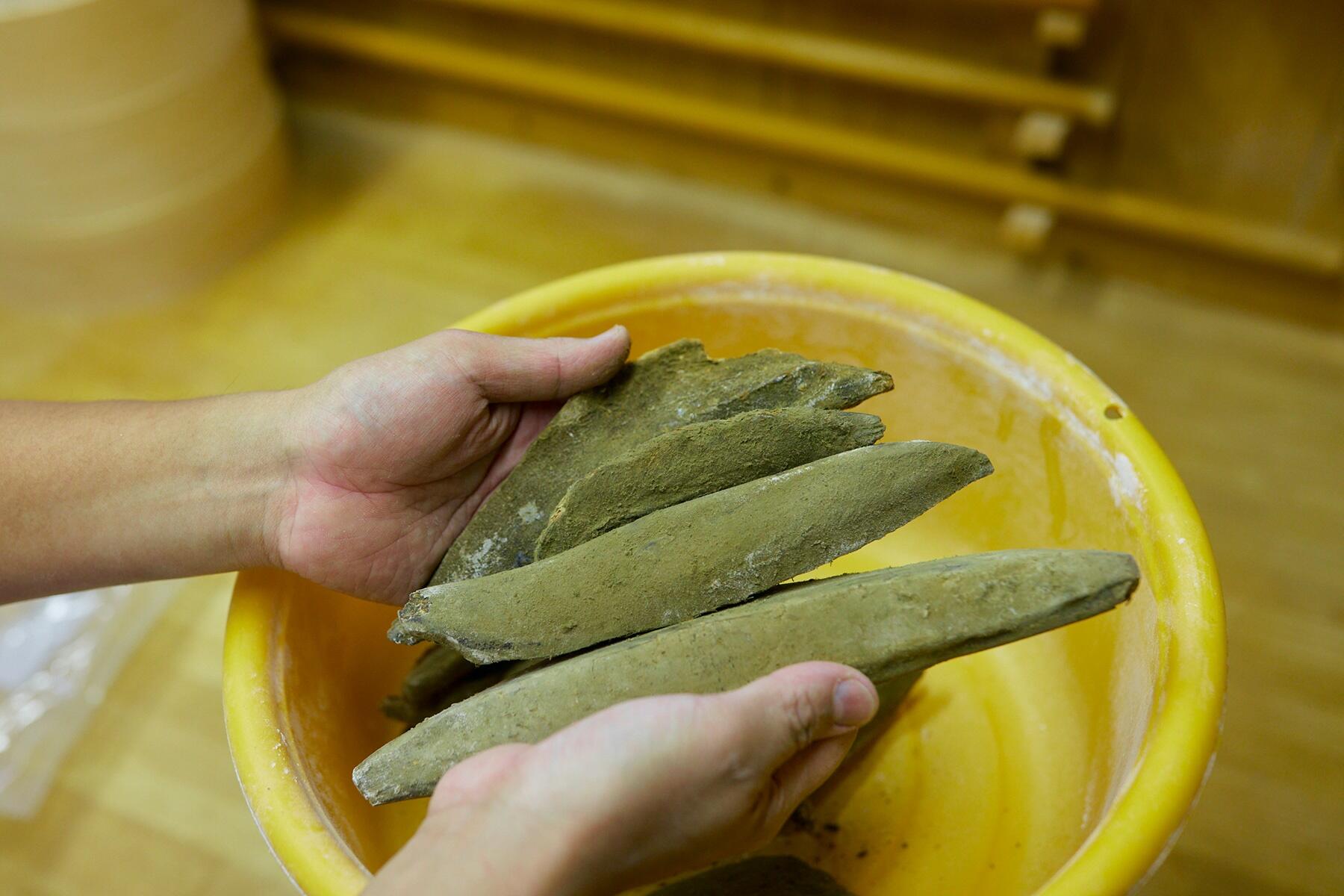 鰹の本節と亀節、宗田節、鯖節の4種類