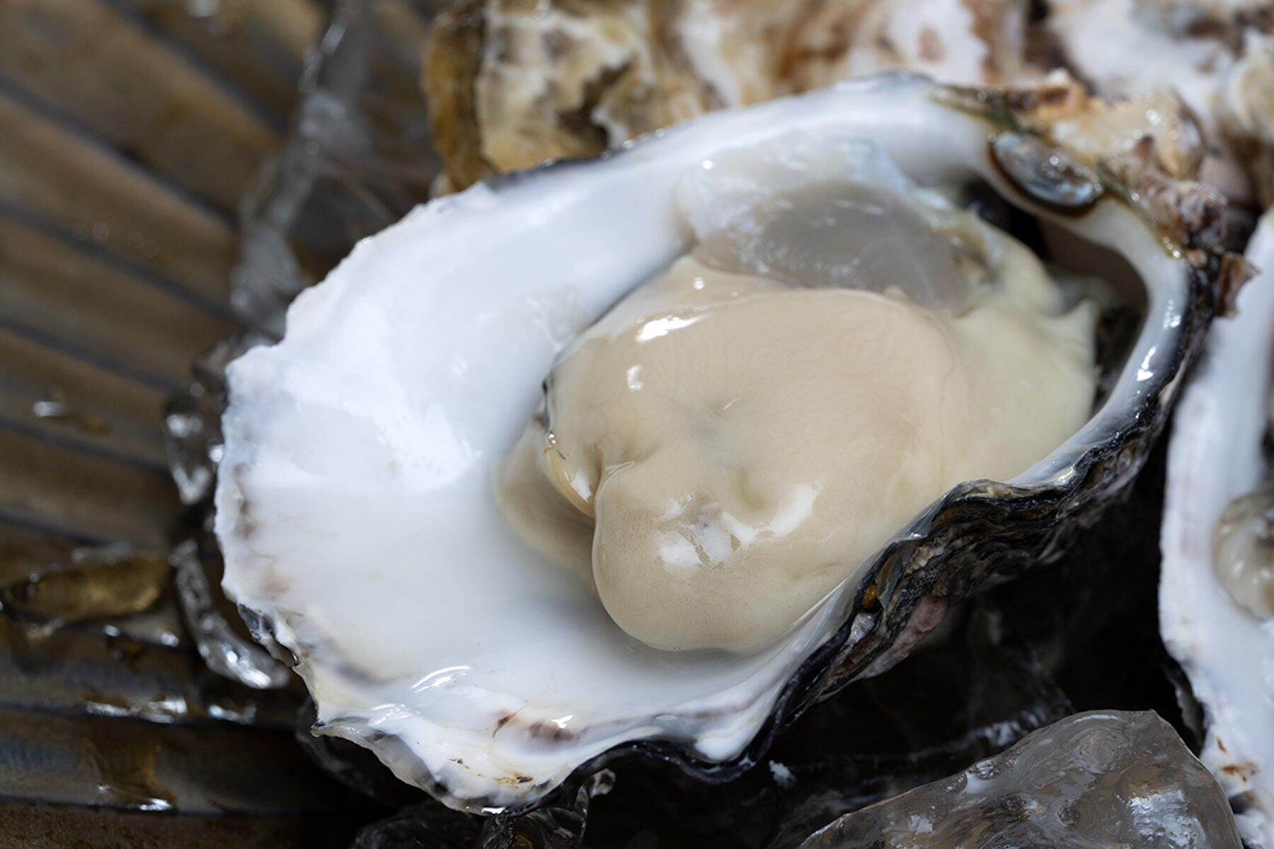 牡蠣