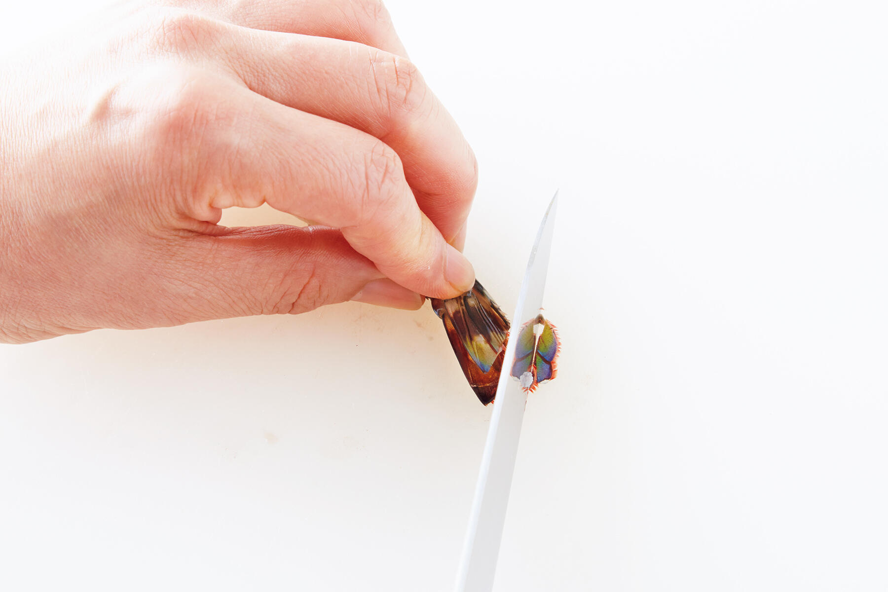 海老に切り込みを入れる