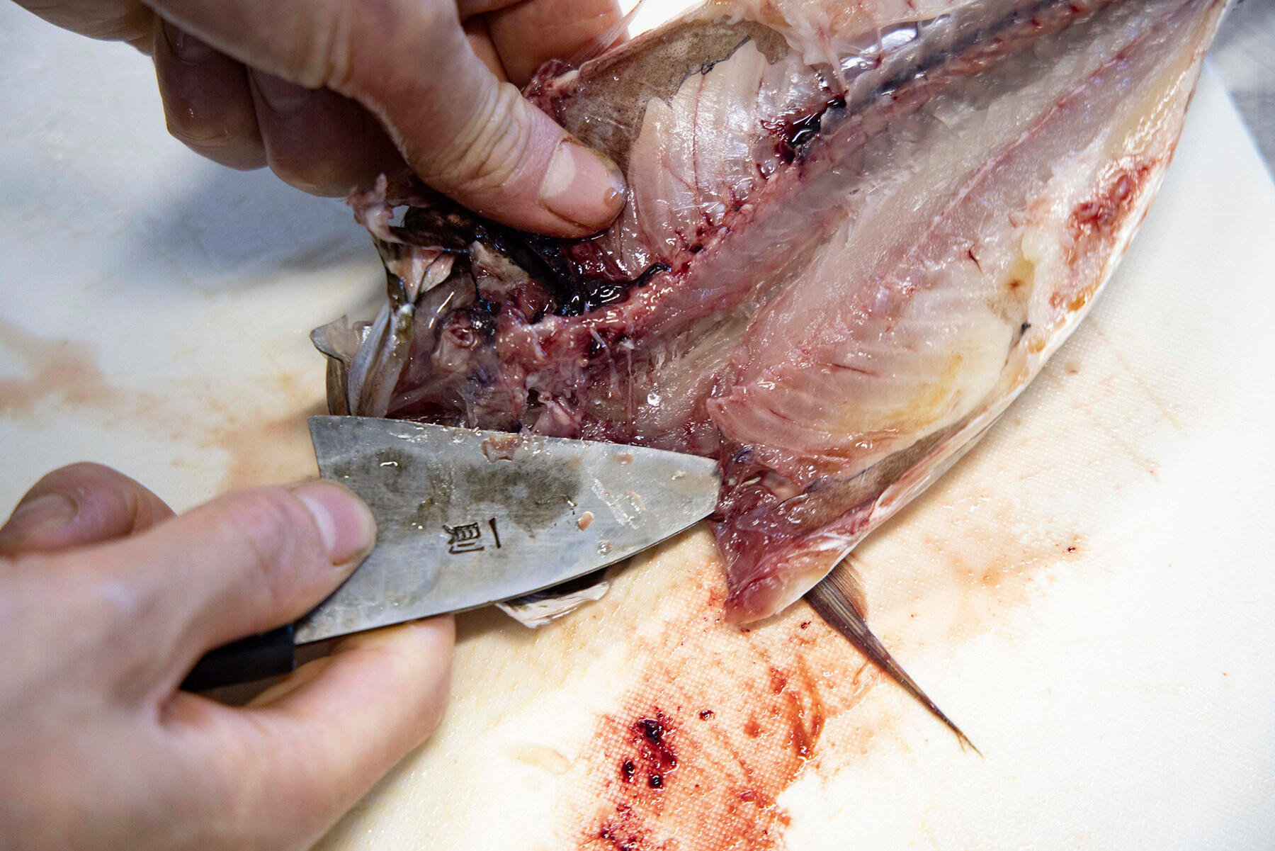 魚の上下をひっくり返して頭を手前にし、包丁の刃元で頭を開く
