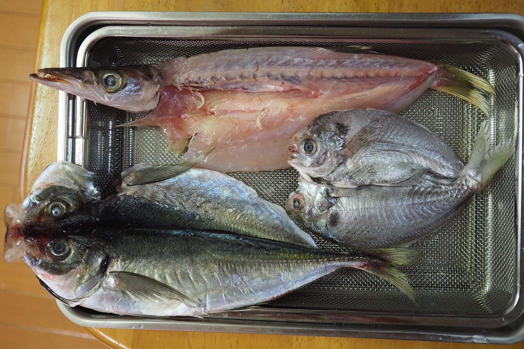 第6回コラム用(干し上がり)