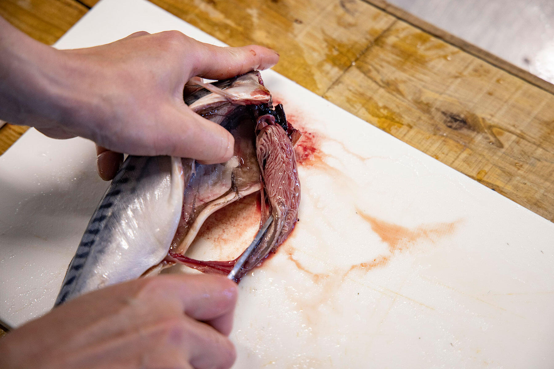 内臓を取り除く