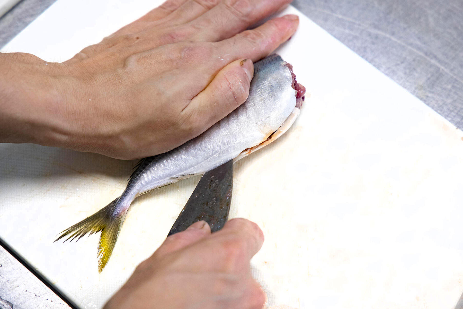 内臓をかき出す