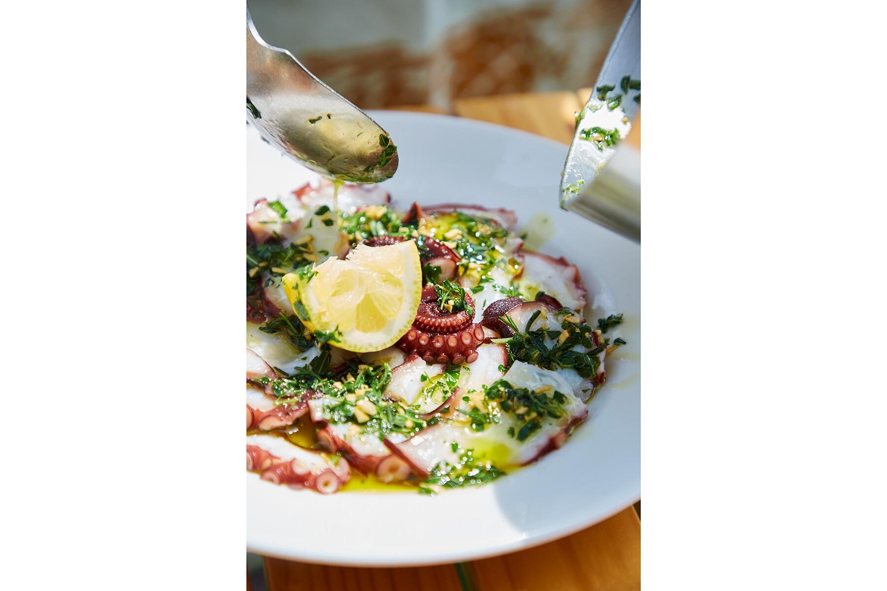 タコのハーブカルパッチョ