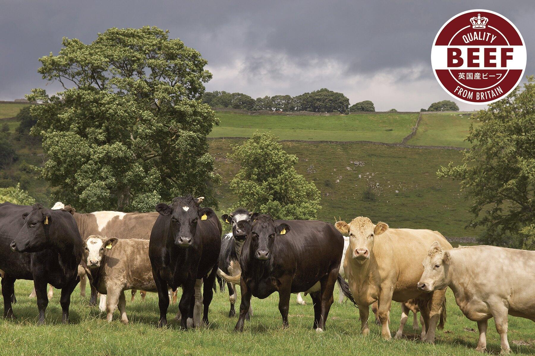 英国産ビーフ