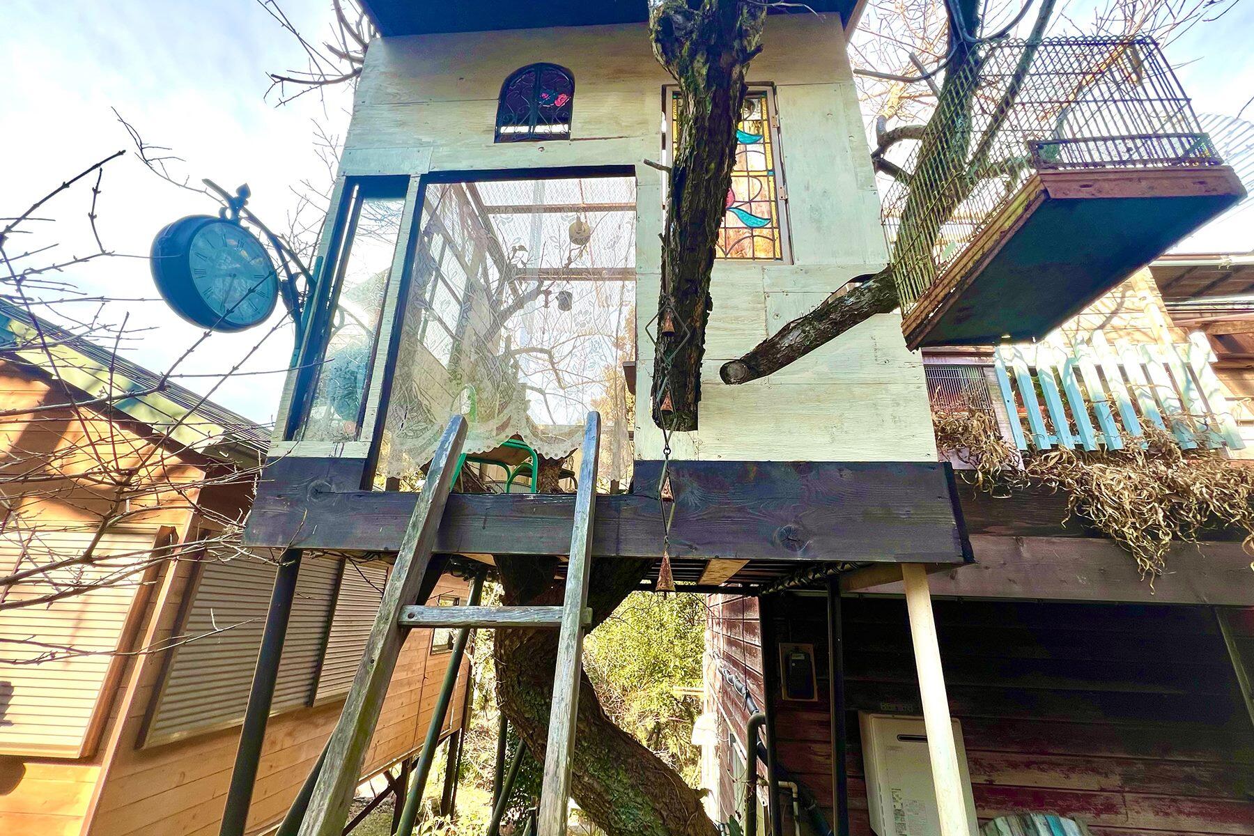 ツリーハウス