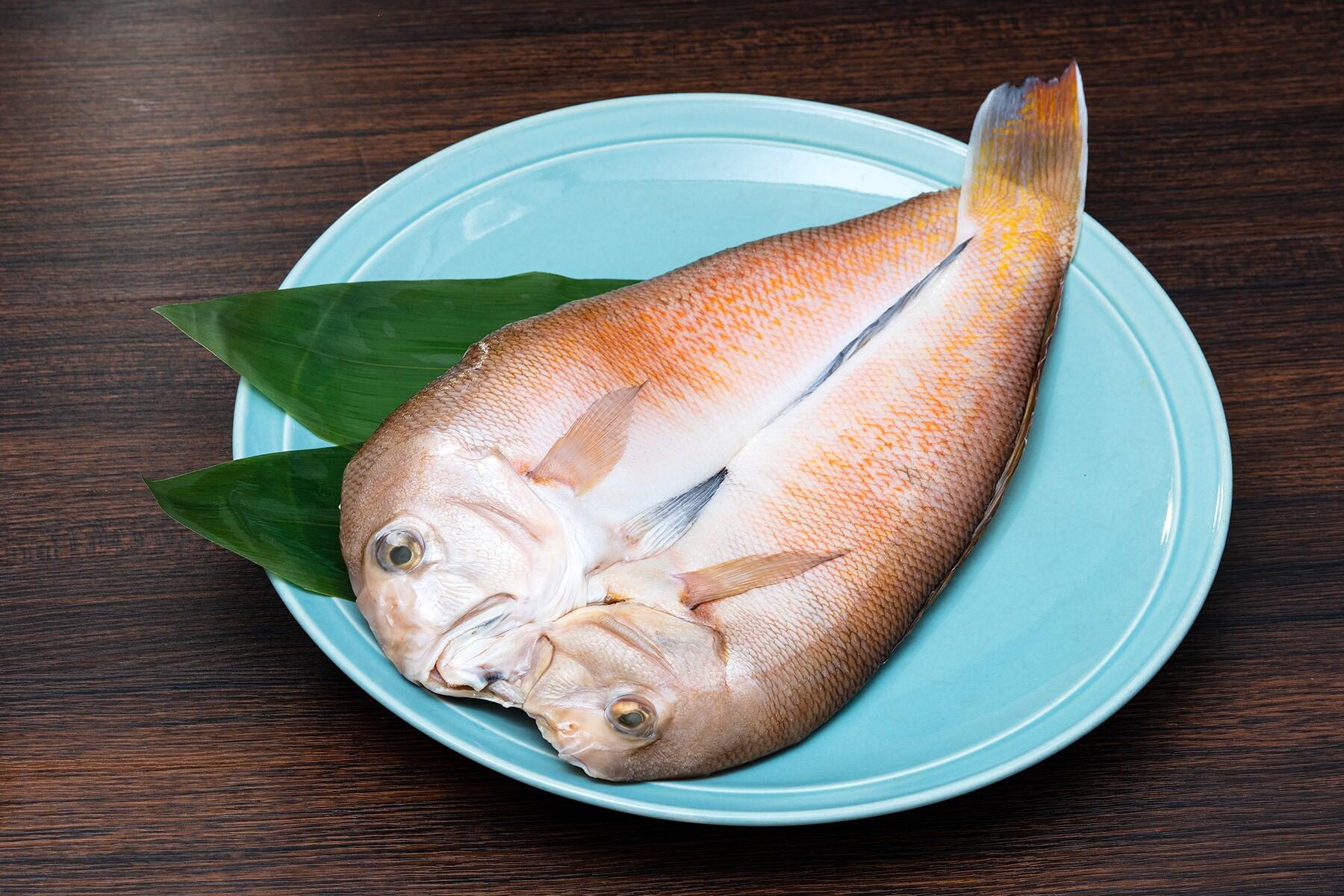 宇和海の白甘鯛の干物
