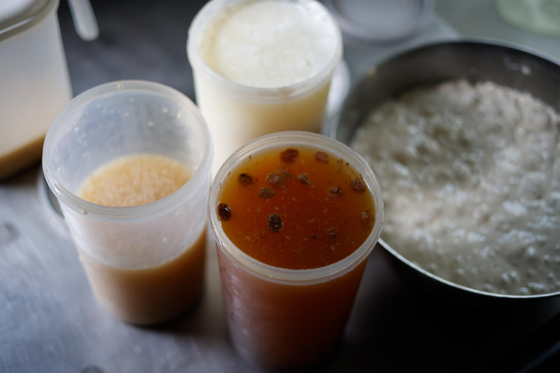 4種の自家製酵母