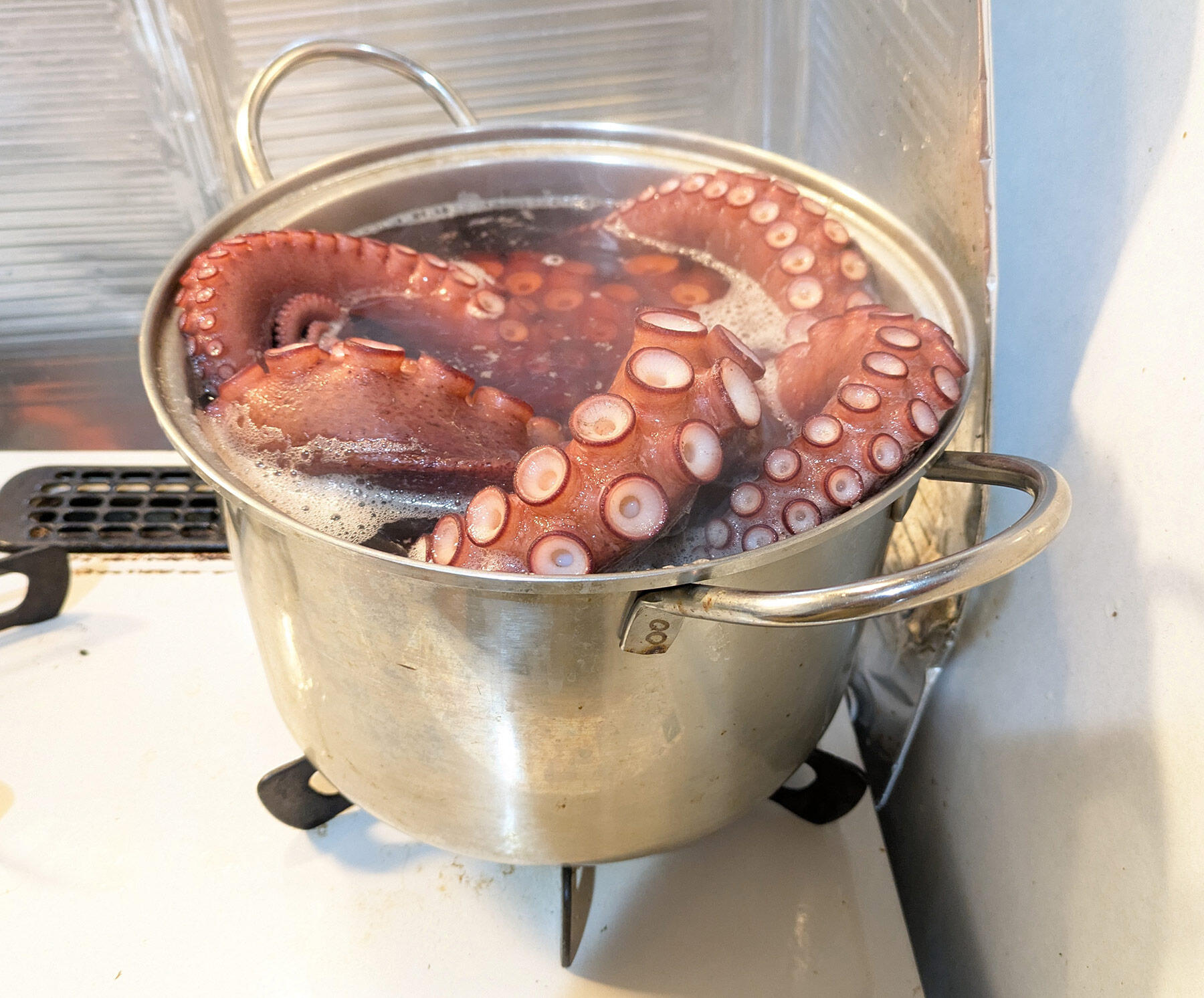 大宮冬洋の干物日記