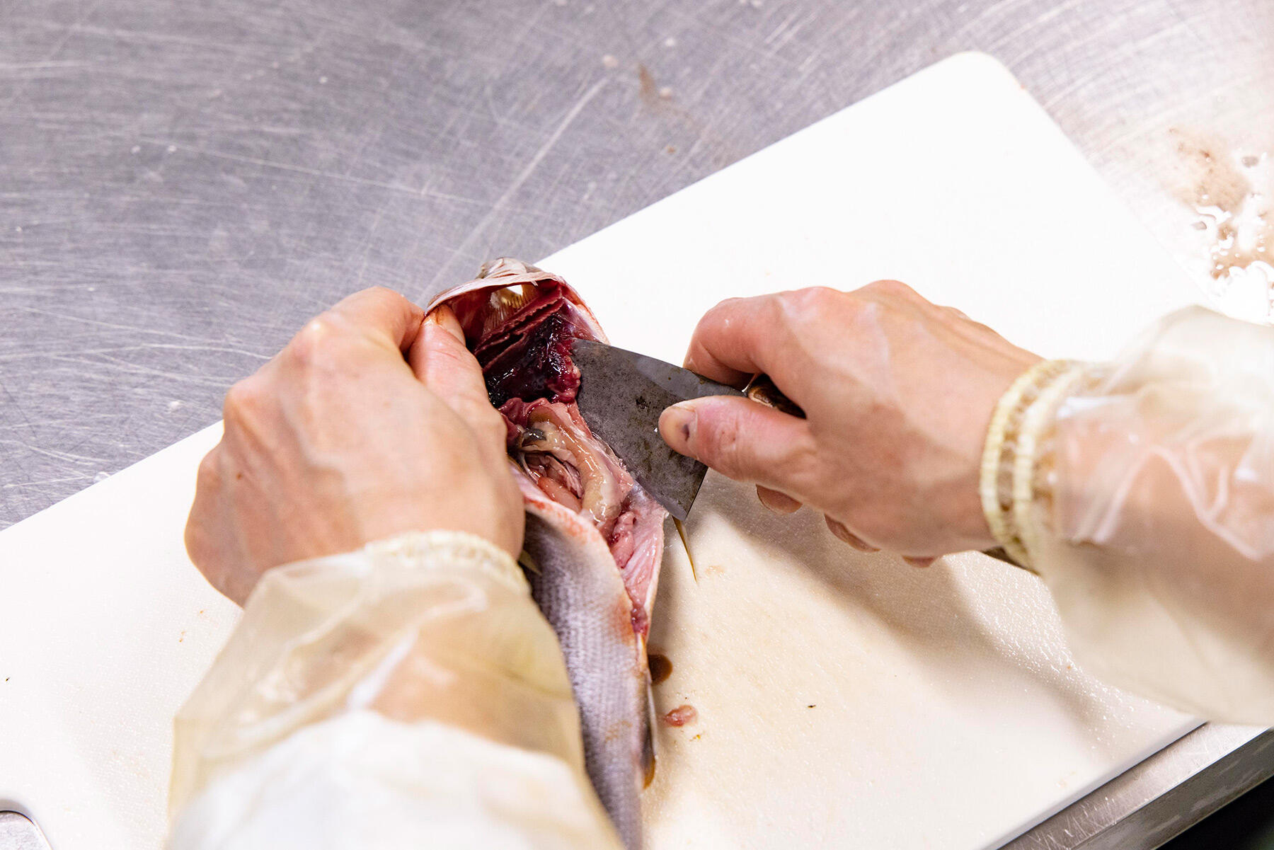 内臓を取り除く