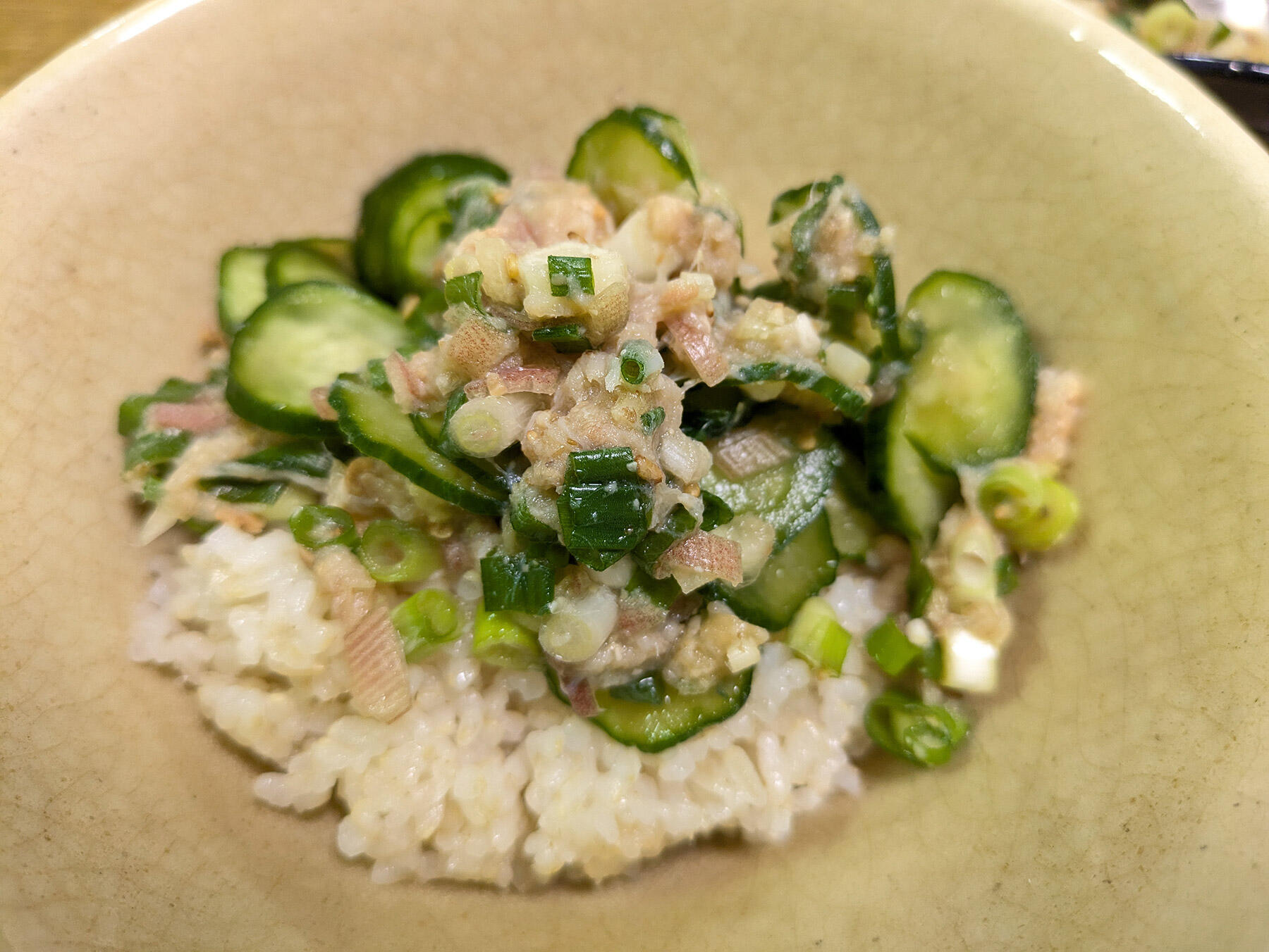 大宮冬洋の干物日記