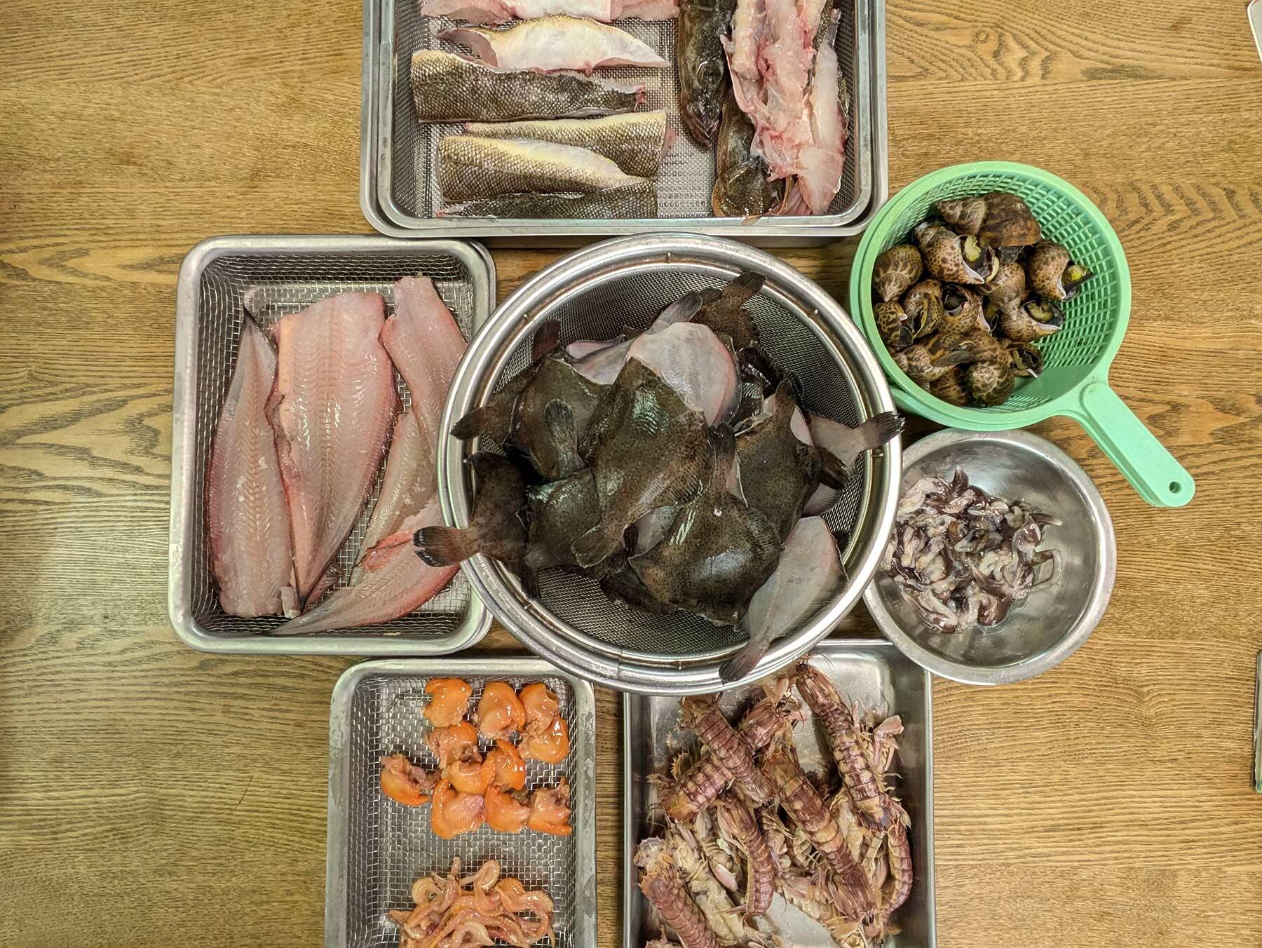 大宮冬洋の干物日記