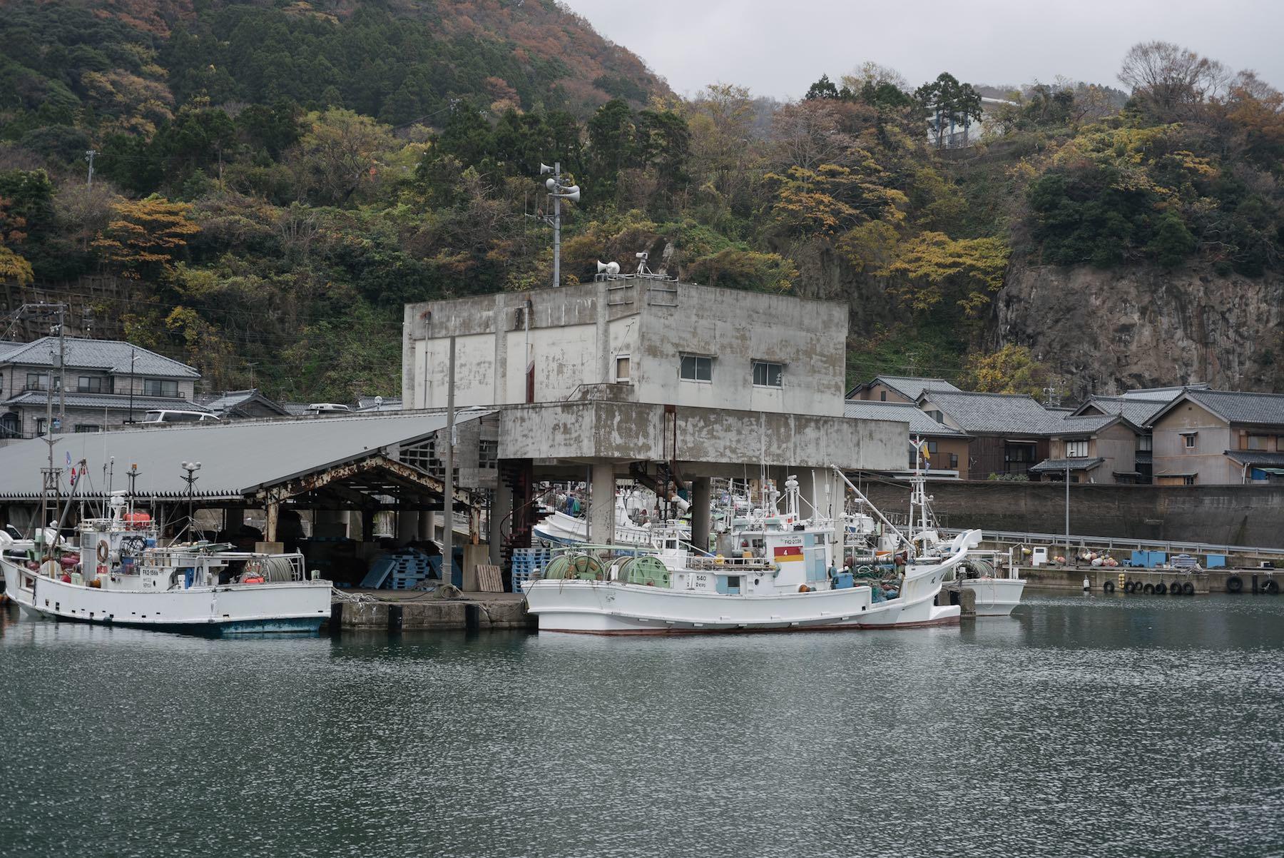 バスの車窓から、目指す越前漁港が見えてきた!想像よりひっそりして静まり返っているのは気のせいか......?