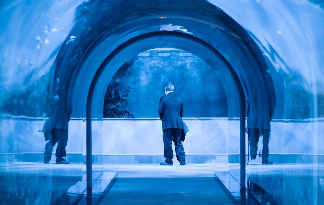 越前沖の魚が泳ぐ“海遊歩道”。美しい水槽のトンネルを抜けると、越前がにの研究風景が見られる生態研究室があった。