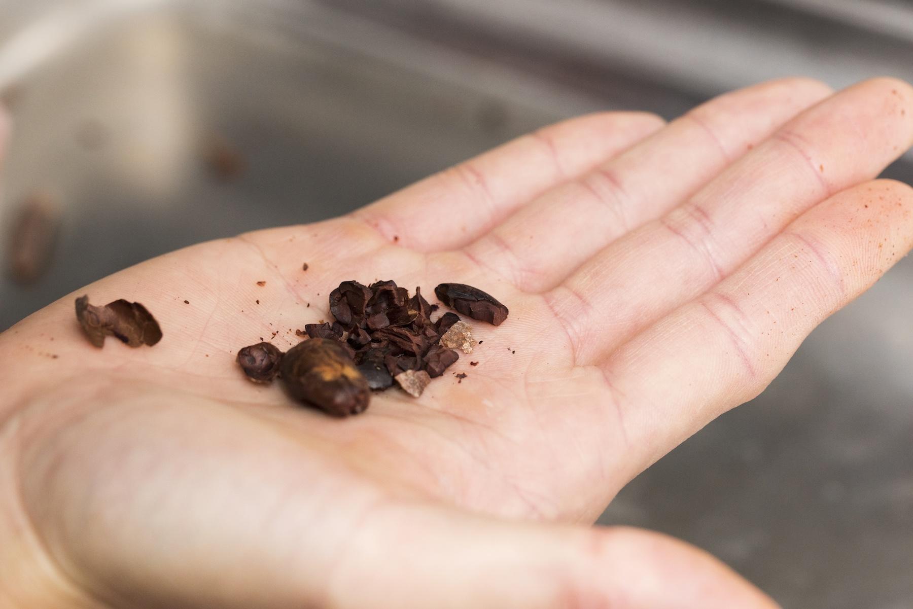 焙煎されたカカオ豆は、そのまま食べて香りを楽しめるので、つまみや調味料にも使うことができる。