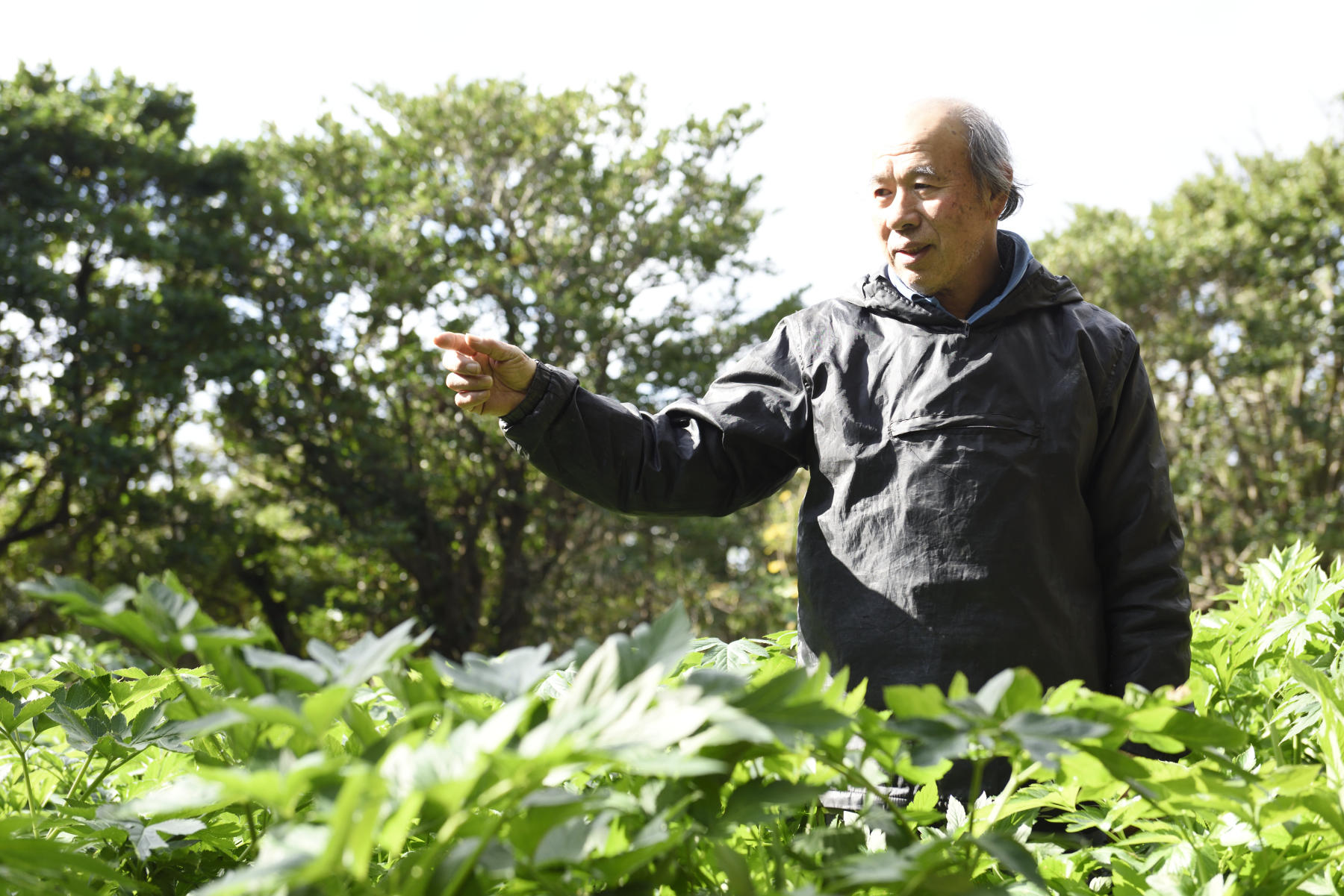 「手をかけて育てると、それだけおいしくなる」と話す伊勢﨑武二さん。