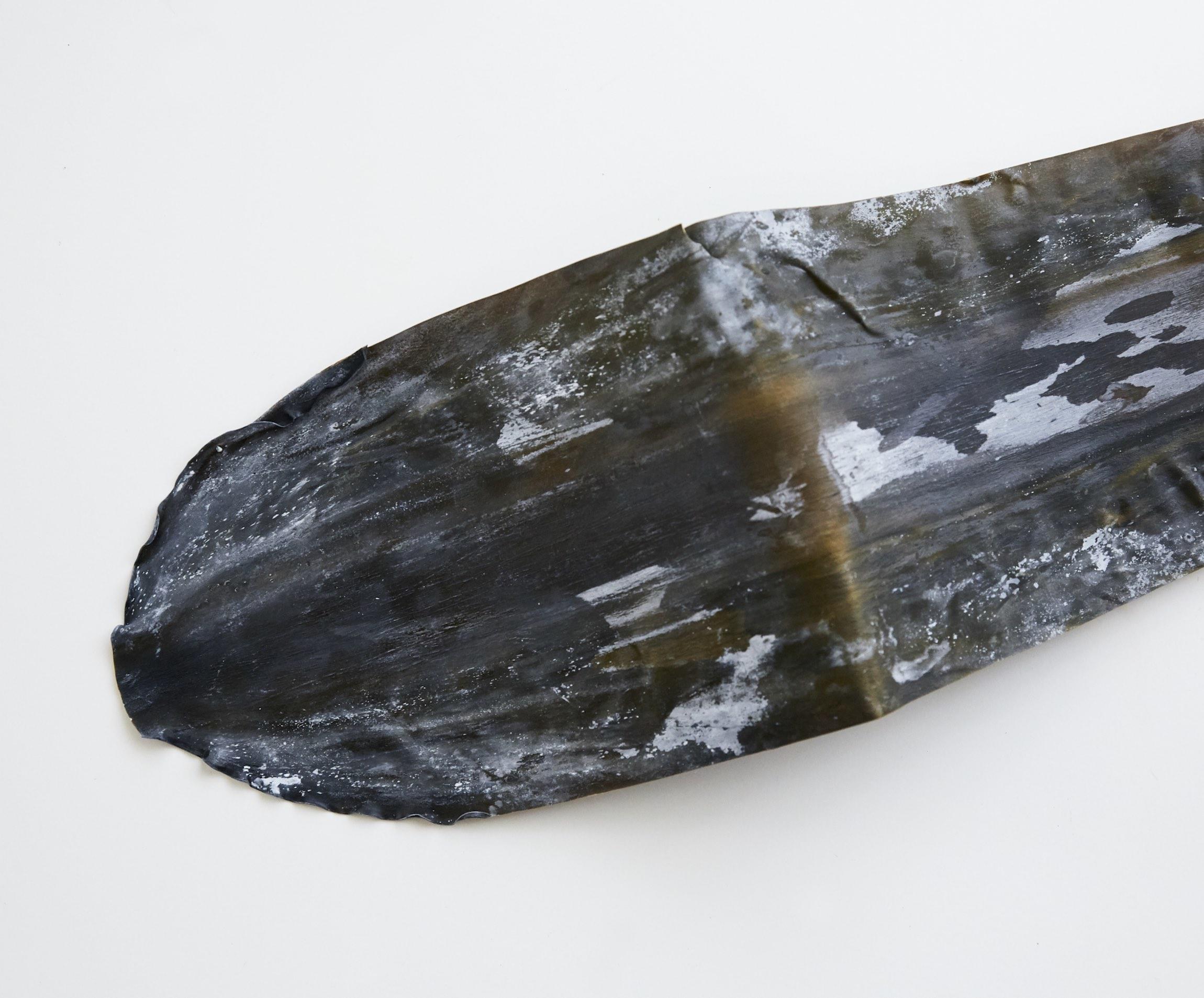 昆布はどこへ行く。