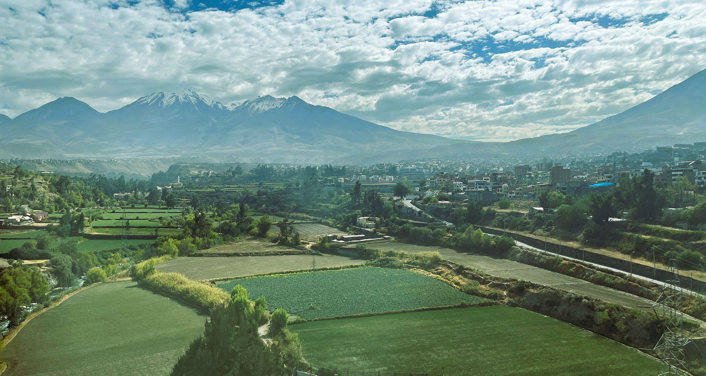 dancyu編集長の「ペルー」美味紀行