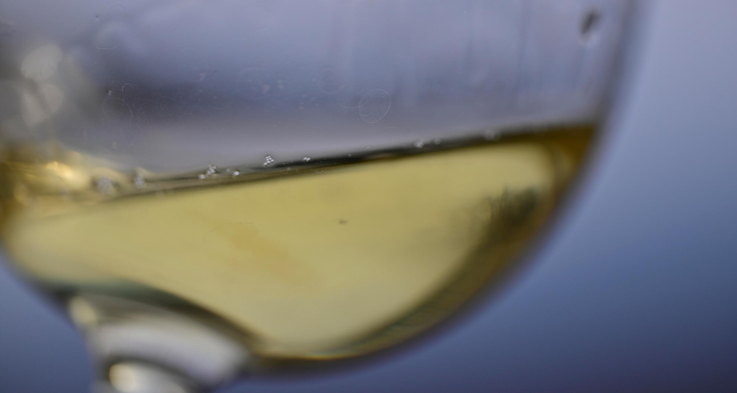 畑と（日本）ワイン。――土と生きる、新時代の造り手たち