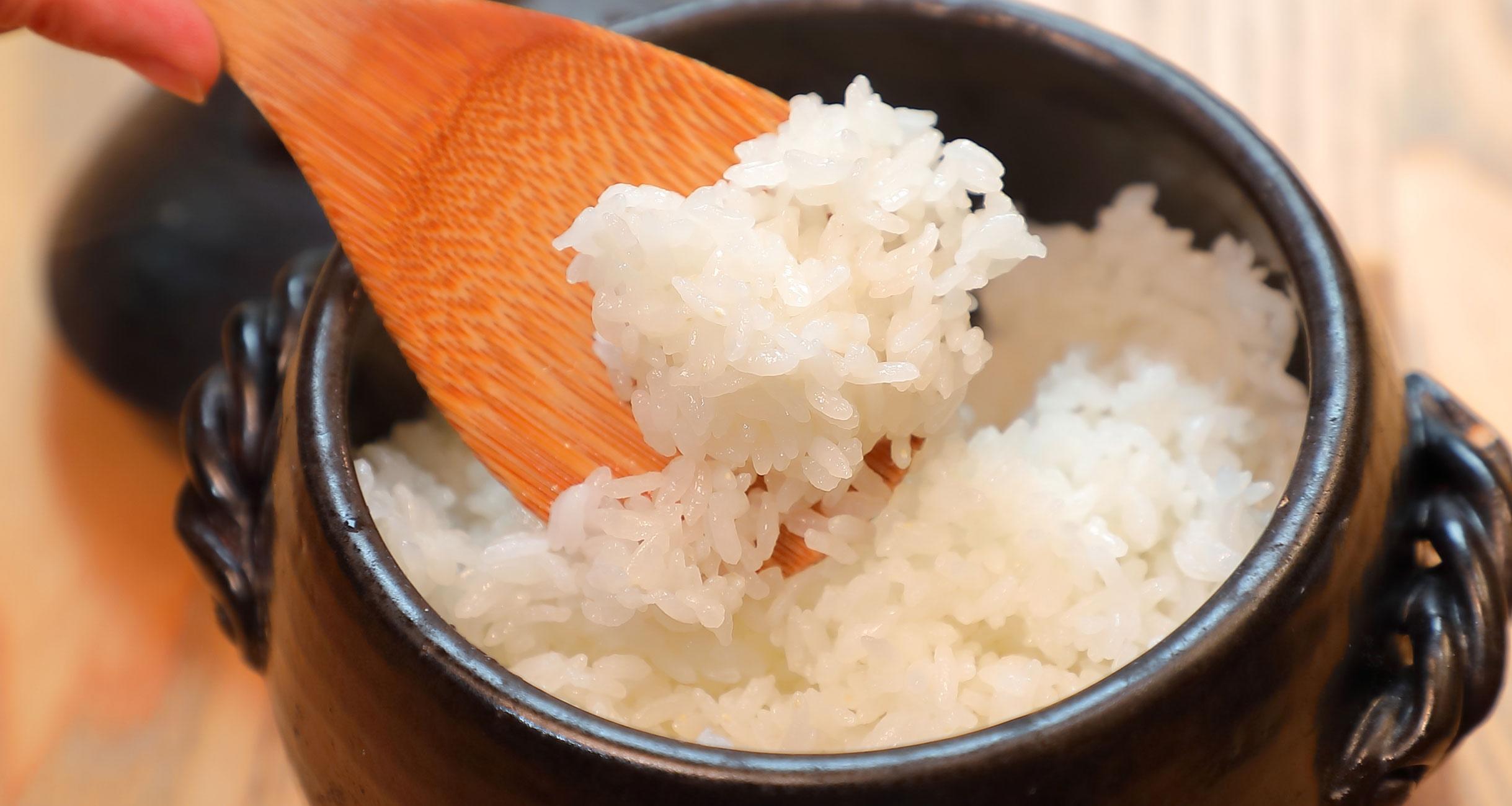 お米の専門家が宮城県の新米を味わいながら 良いお米とは何かを語り合う 公式 Dancyu ダンチュウ