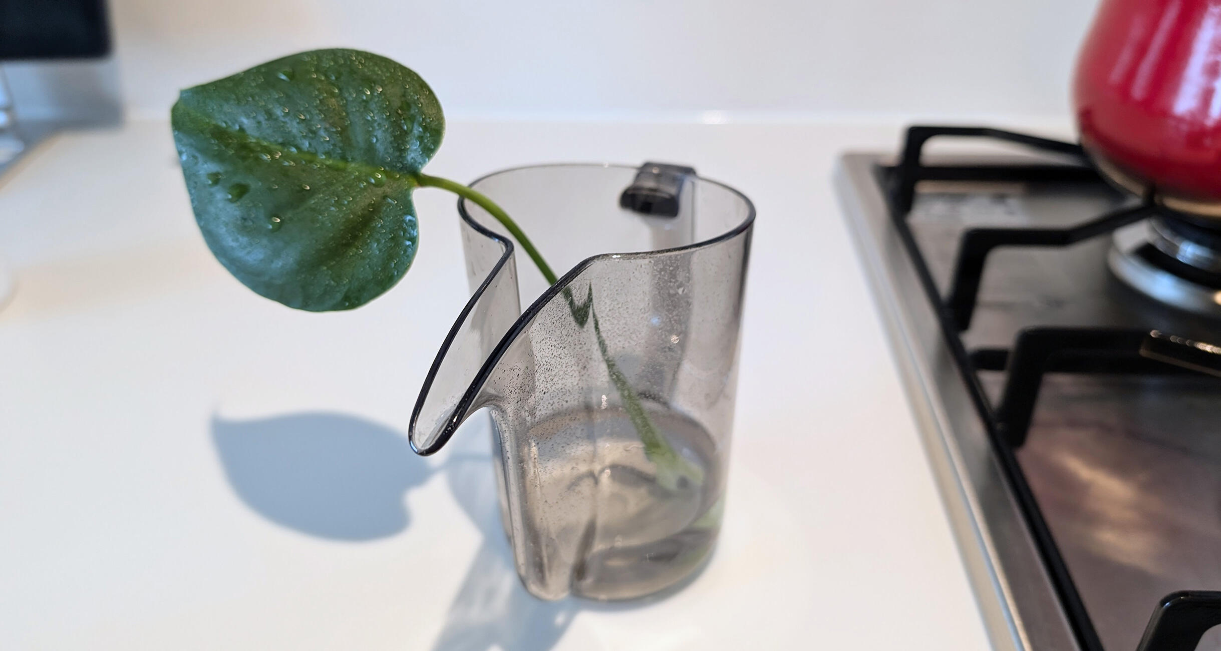 編集部の愛用品