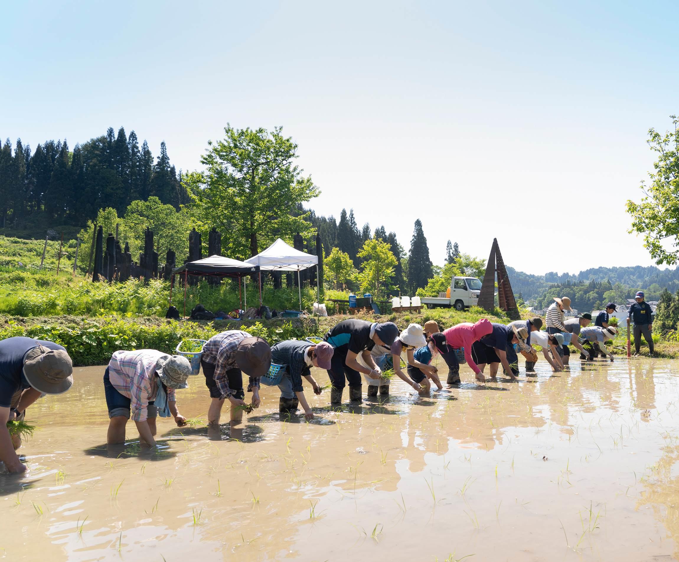 米をつくるということ。